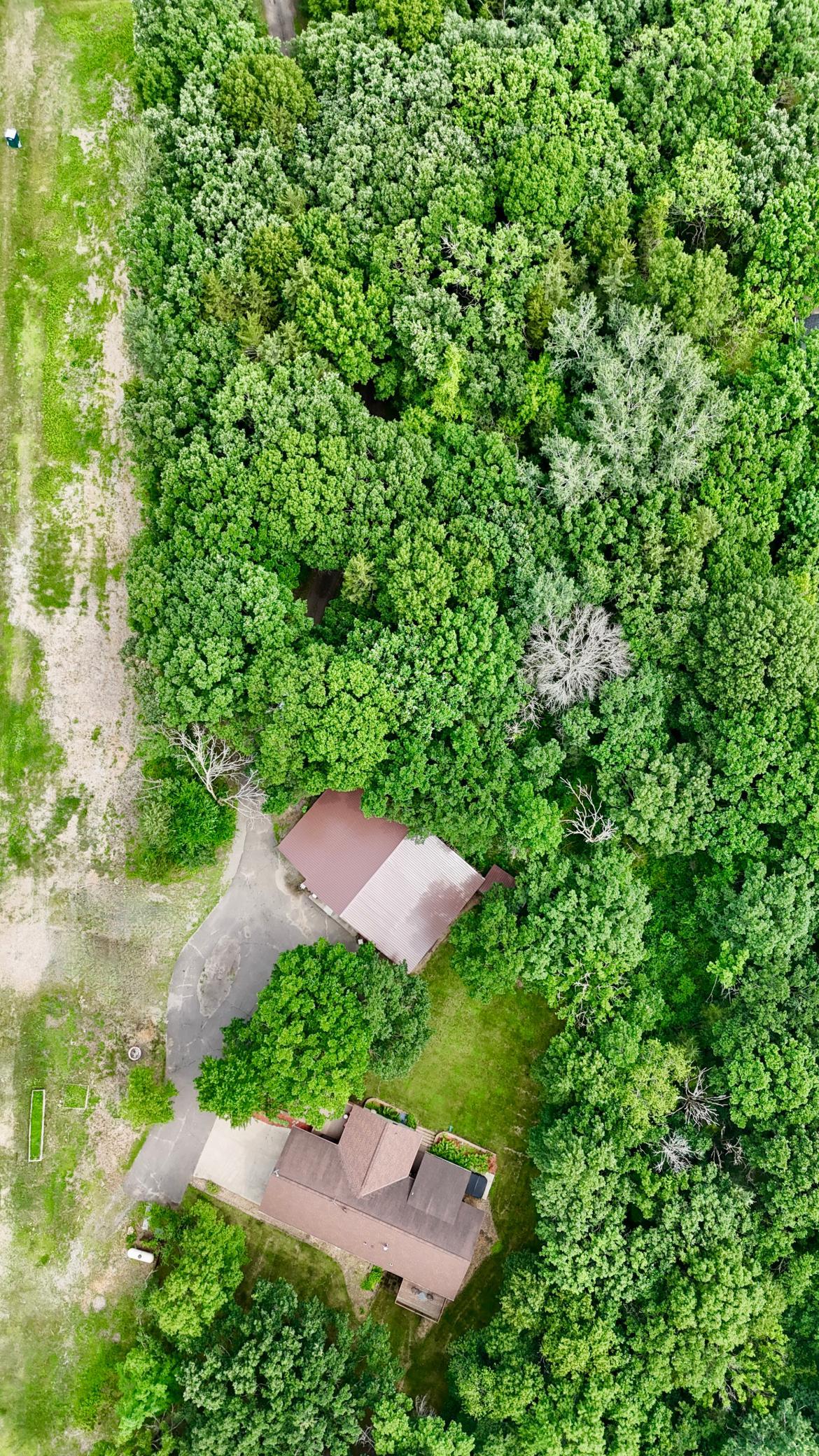 main property photo 54