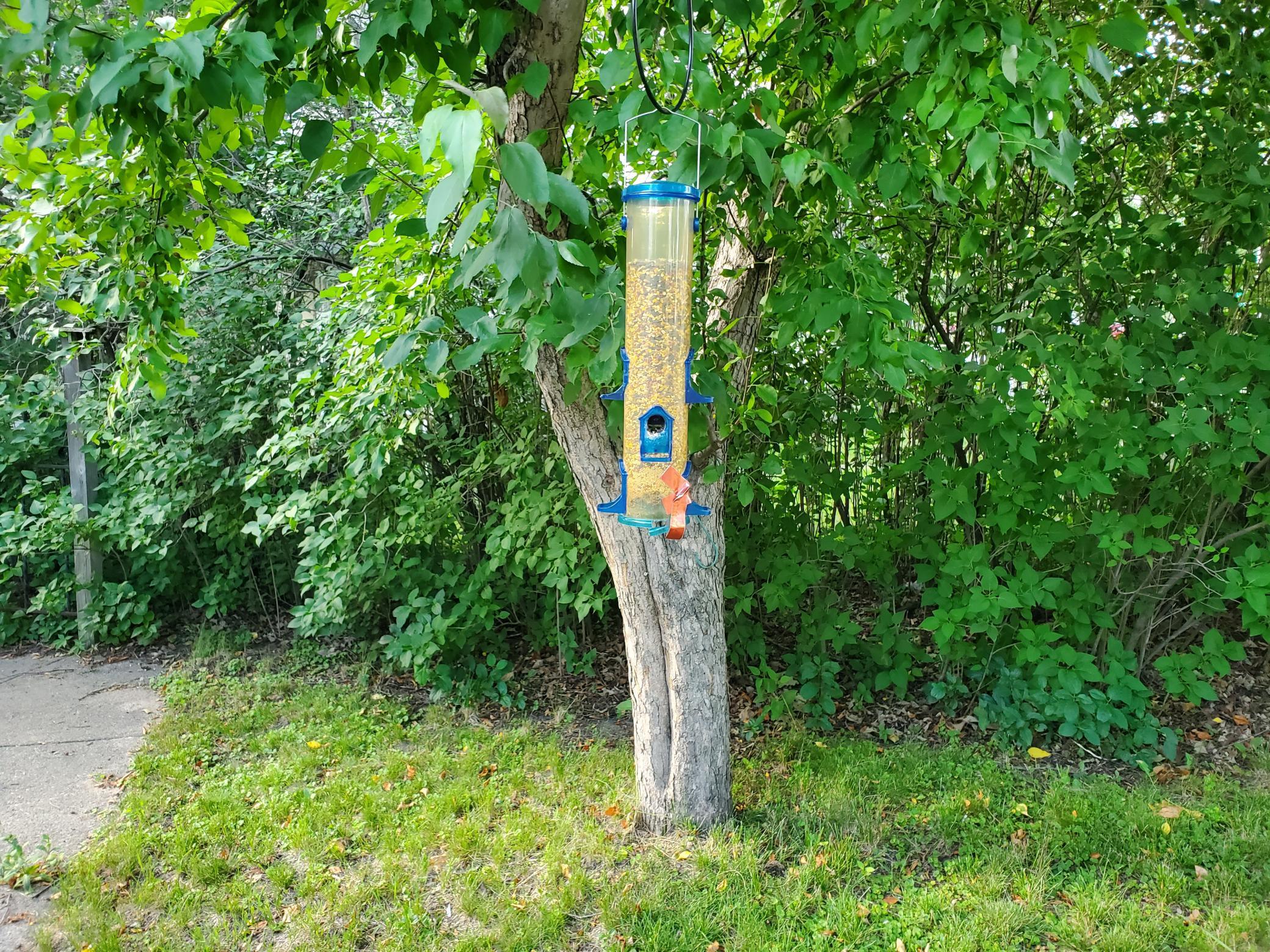 main property photo 41