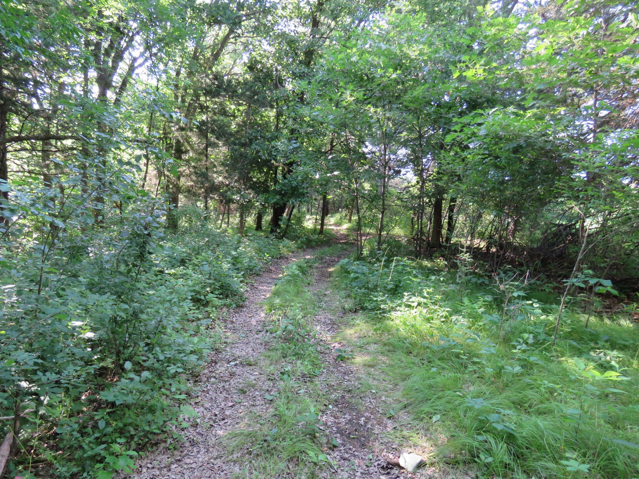 main property photo 28