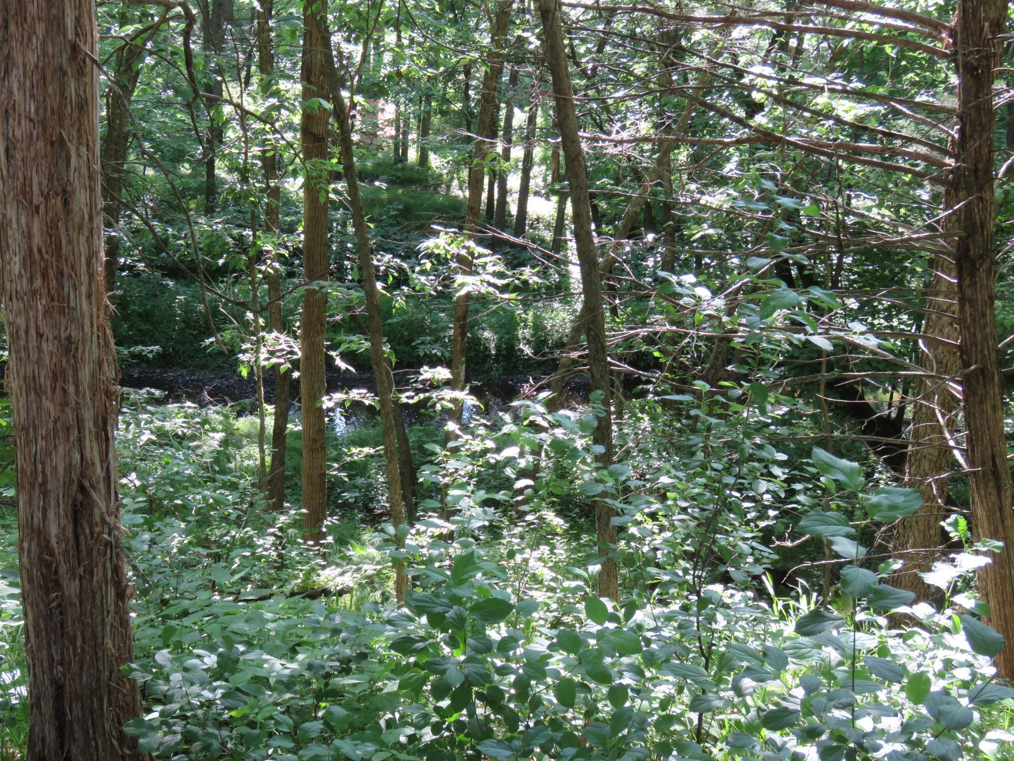 main property photo 30