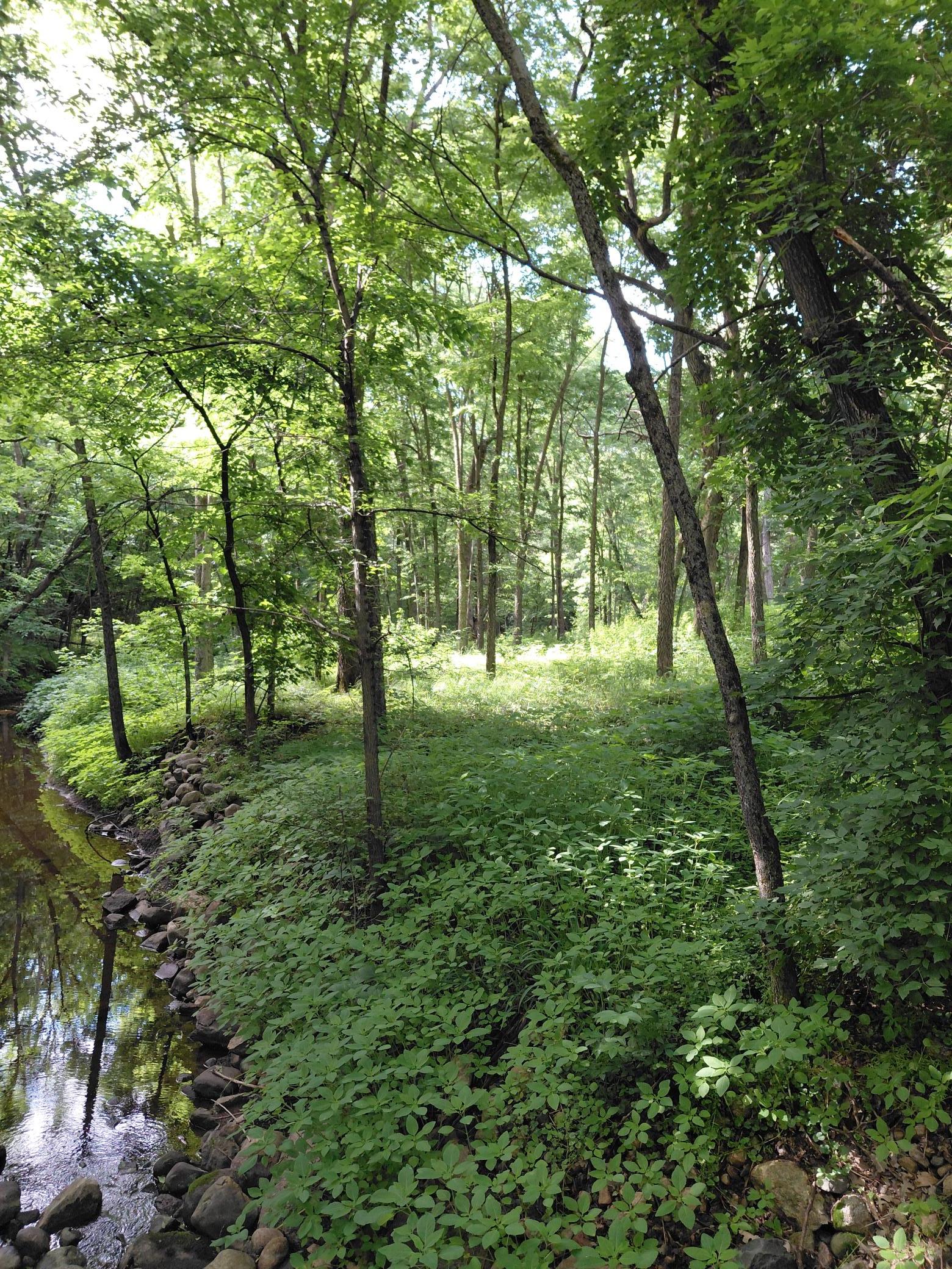 main property photo 59