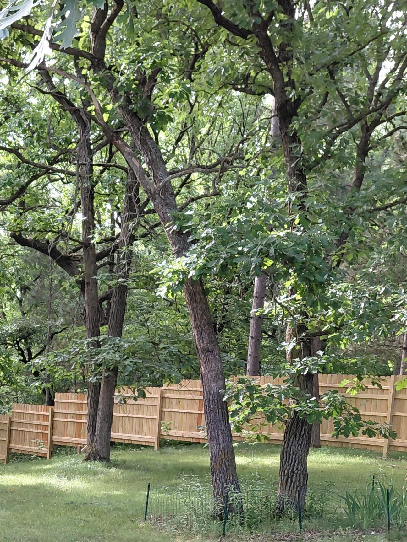 main property photo 61
