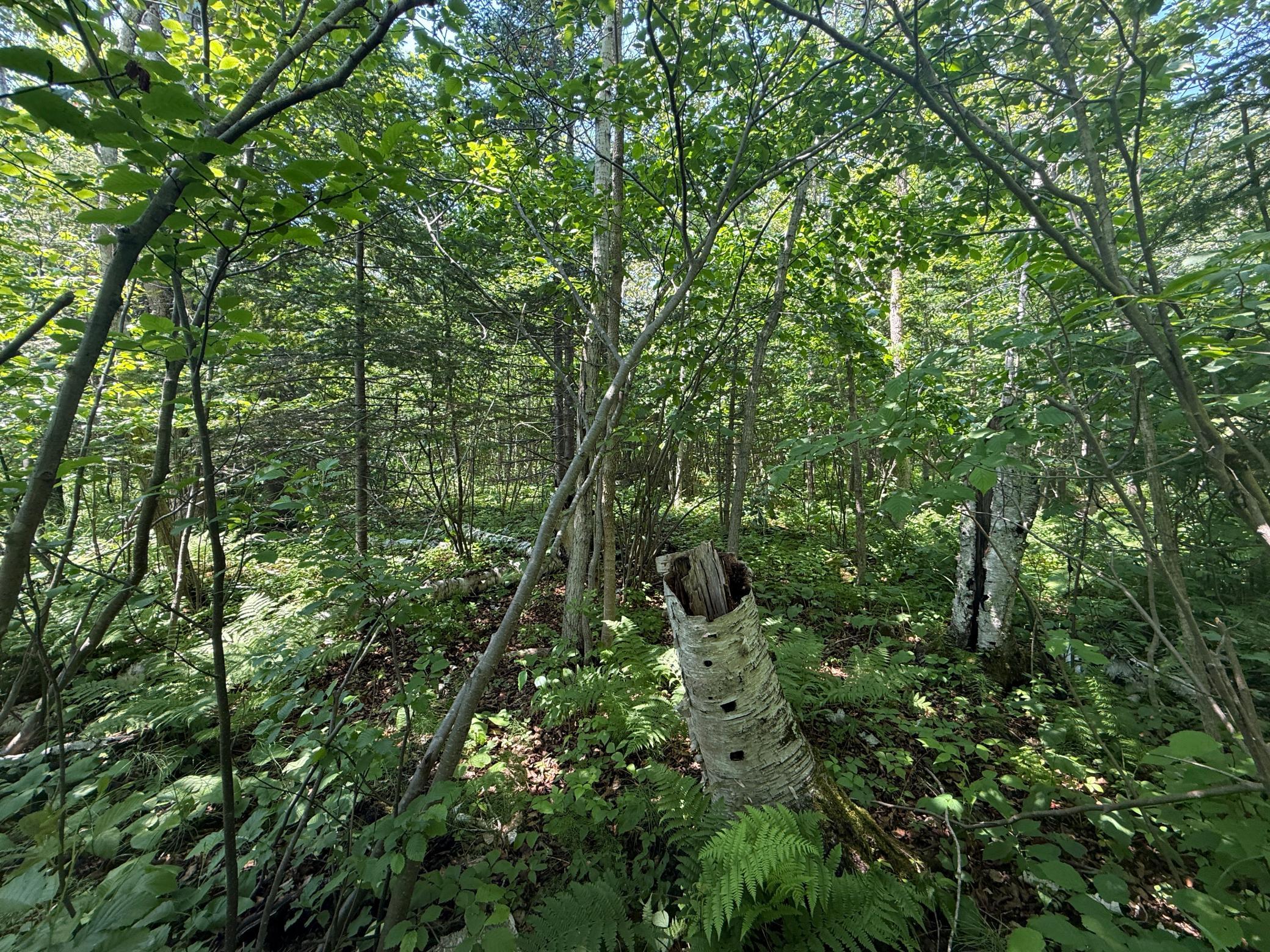 main property photo 10
