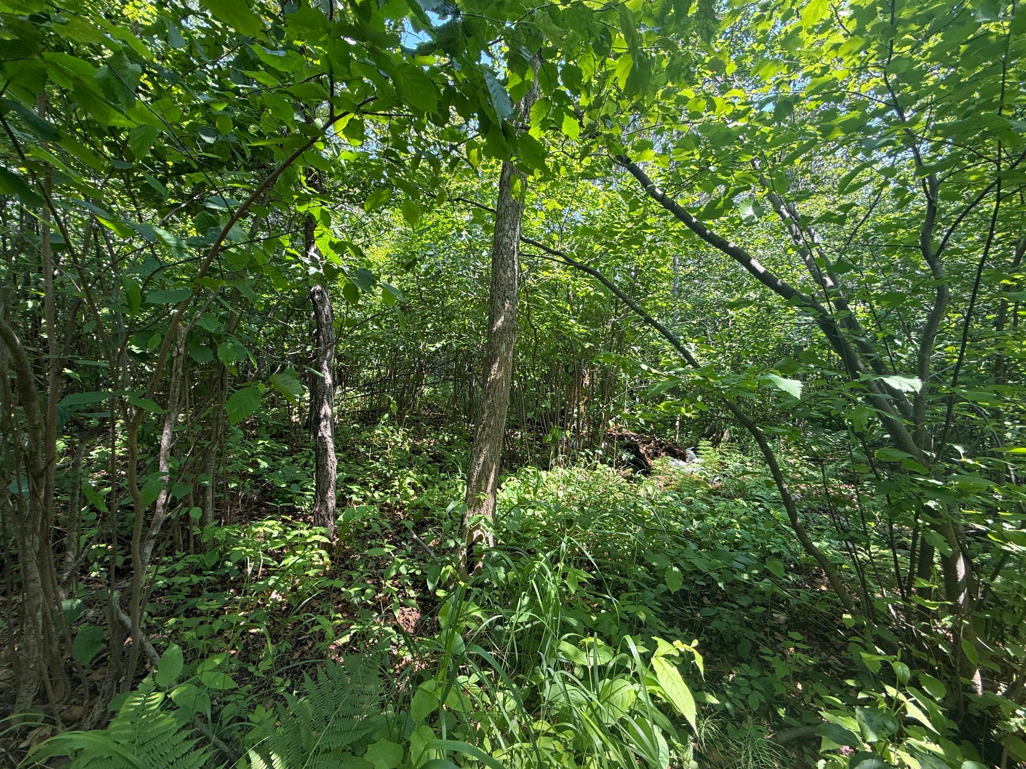 main property photo 12