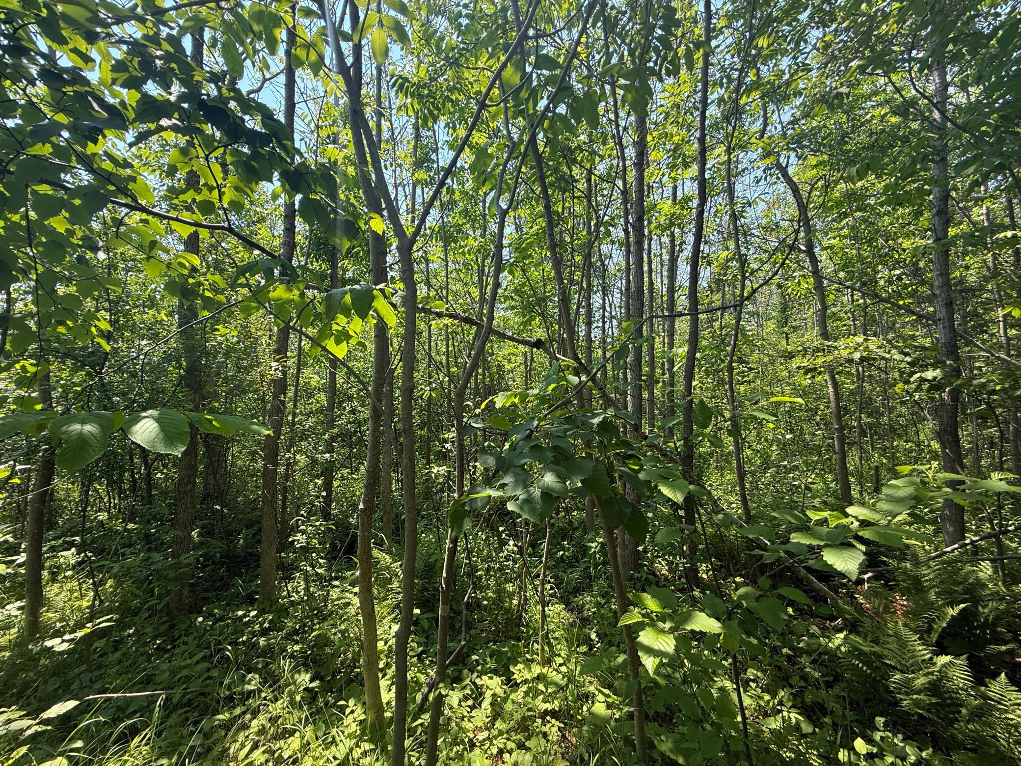 main property photo 15
