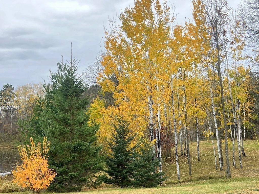 main property photo 67