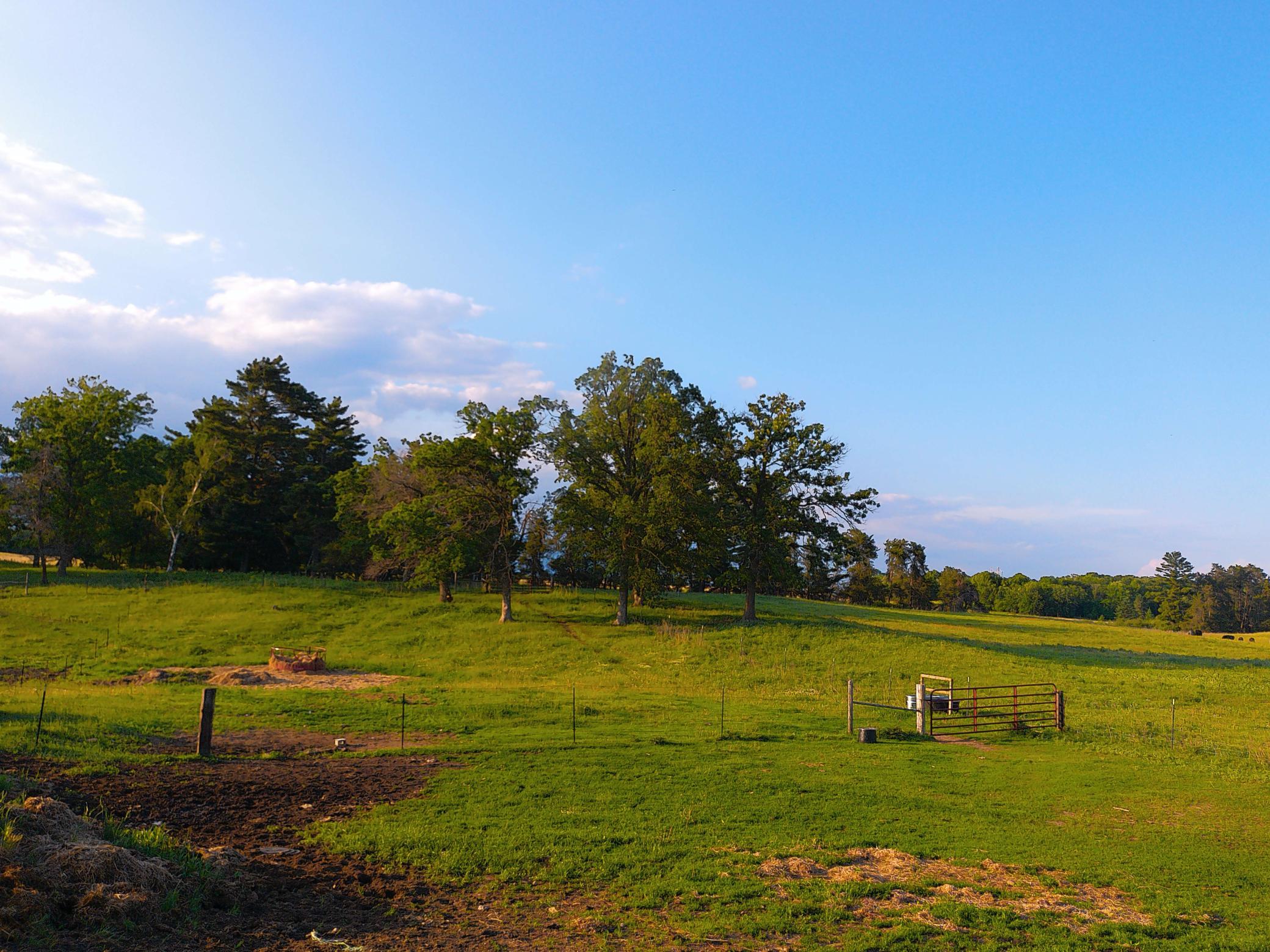 main property photo 56