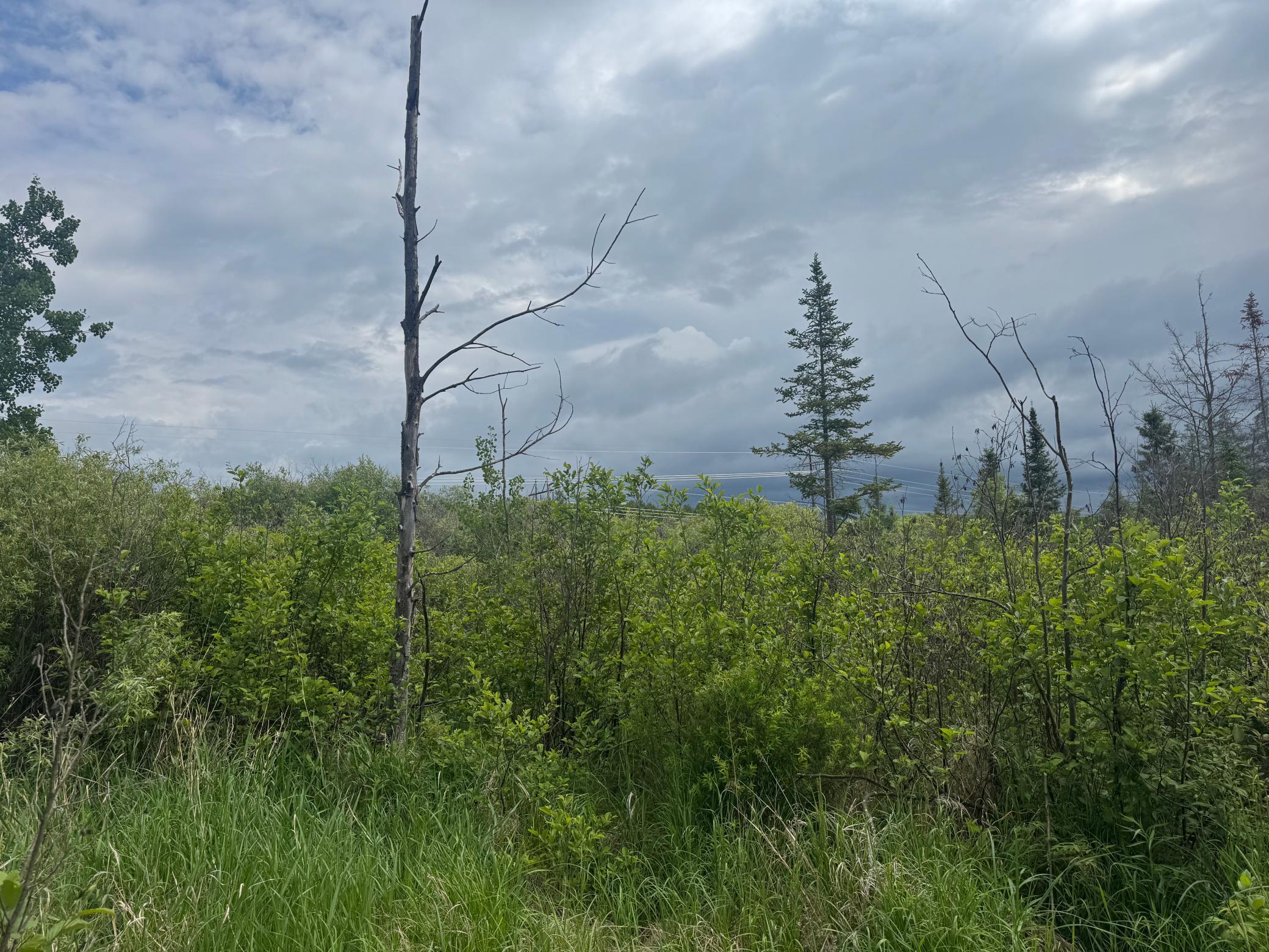 main property photo 13