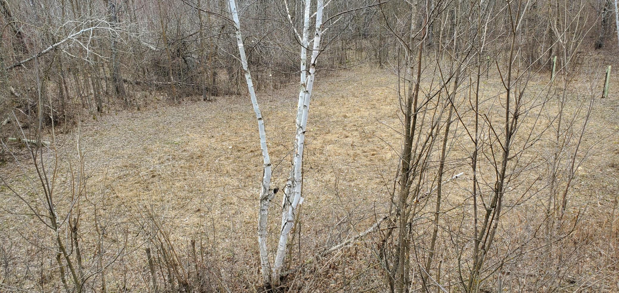 main property photo 66