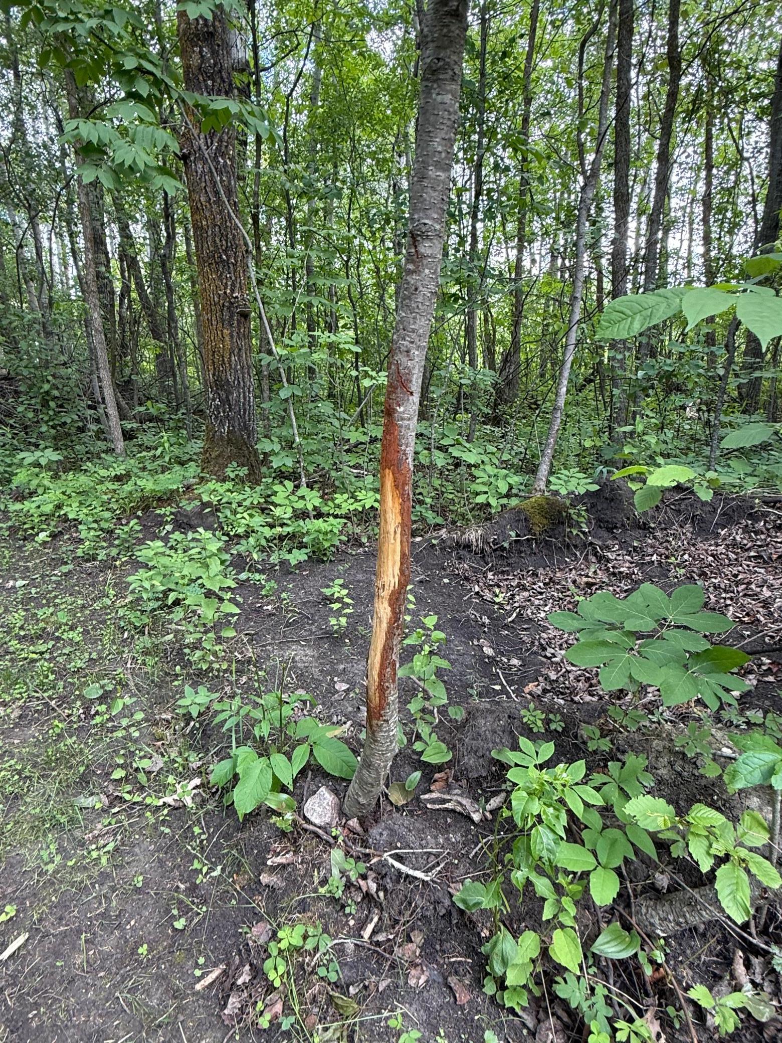 main property photo 49
