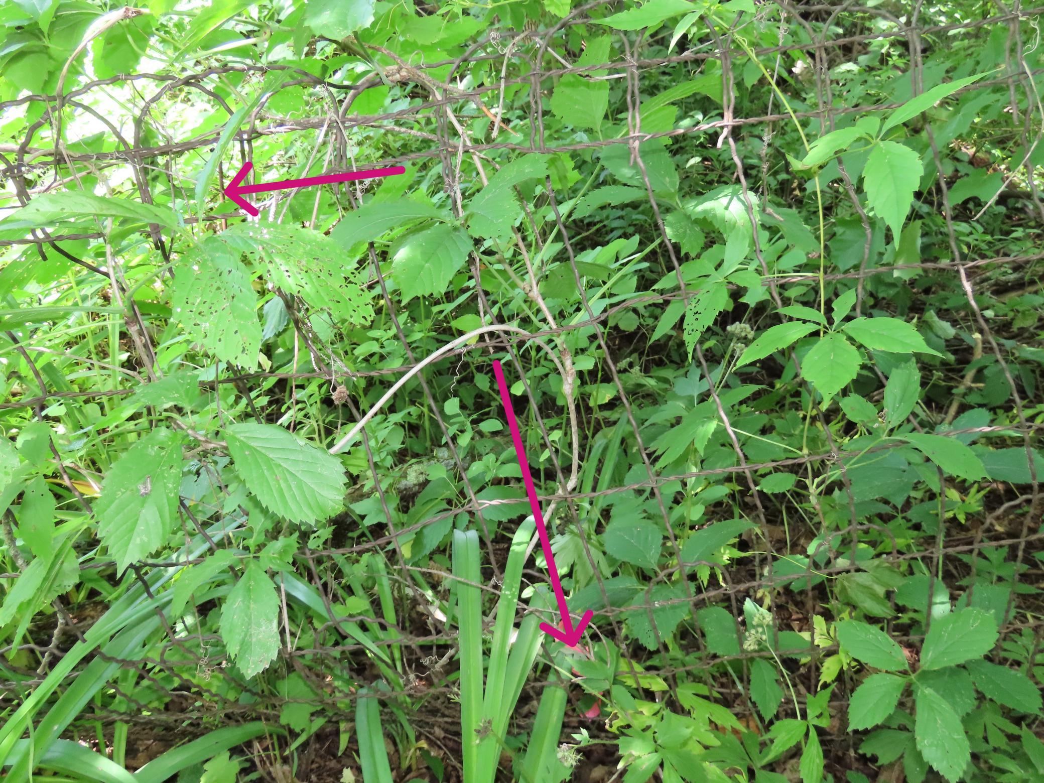 main property photo 71