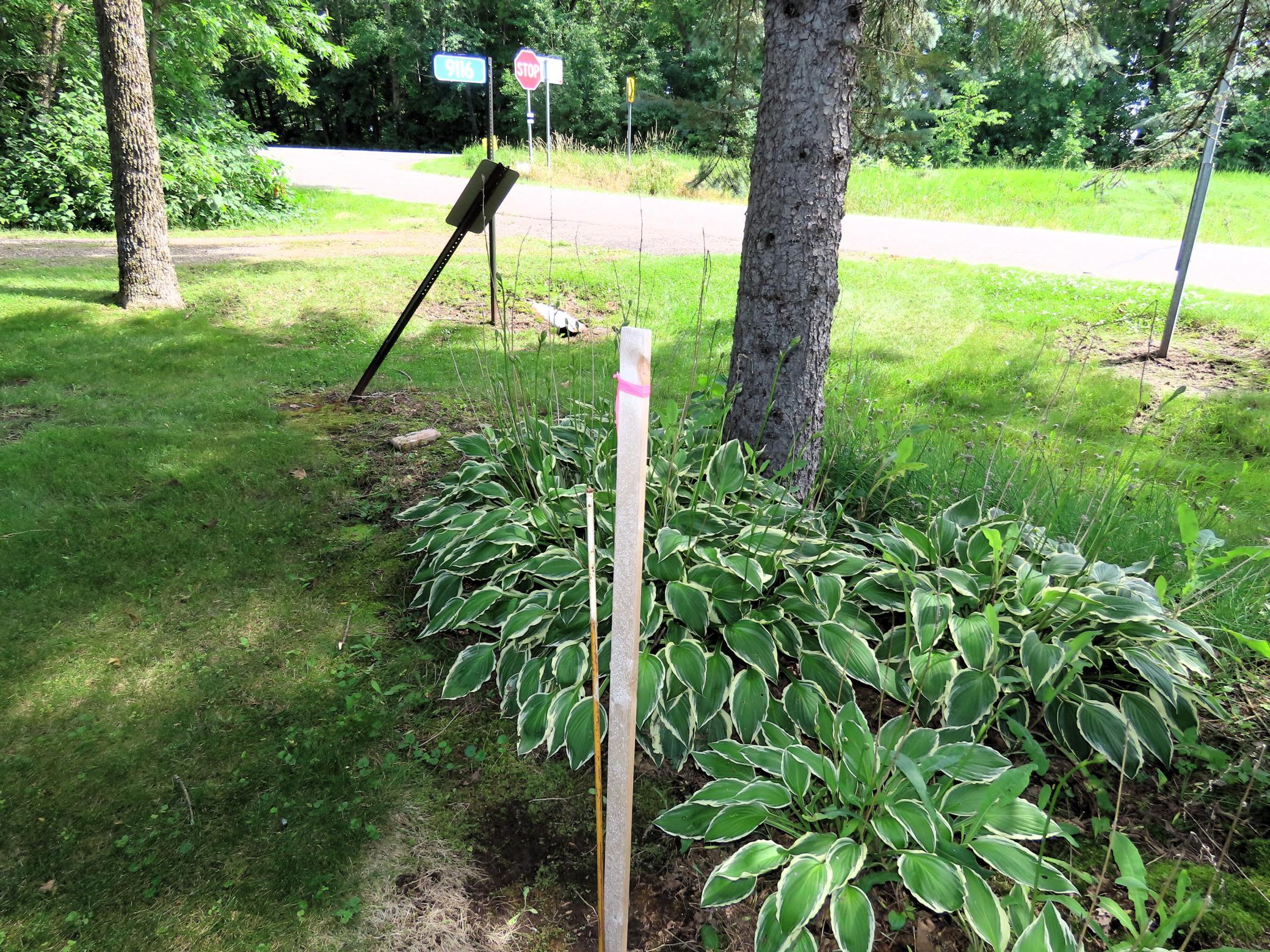 main property photo 82