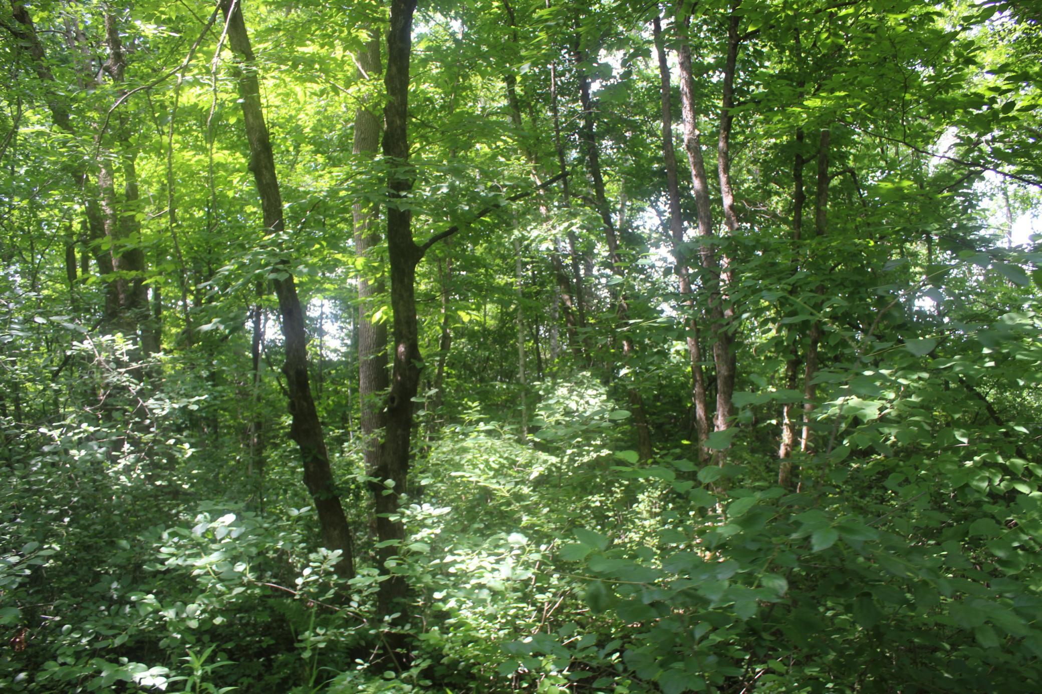 main property photo 7