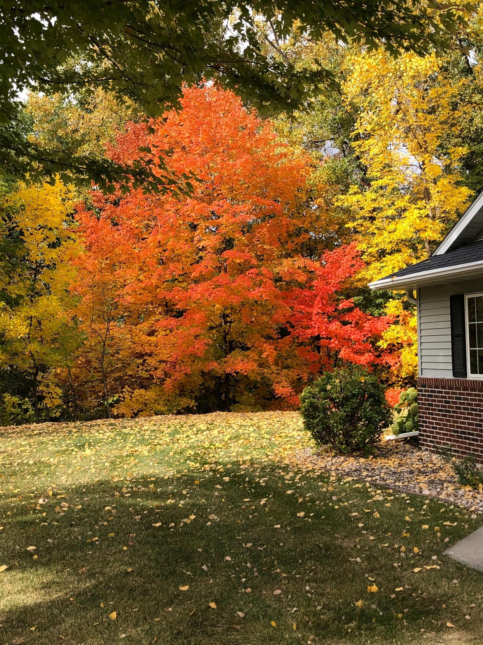 main property photo 45