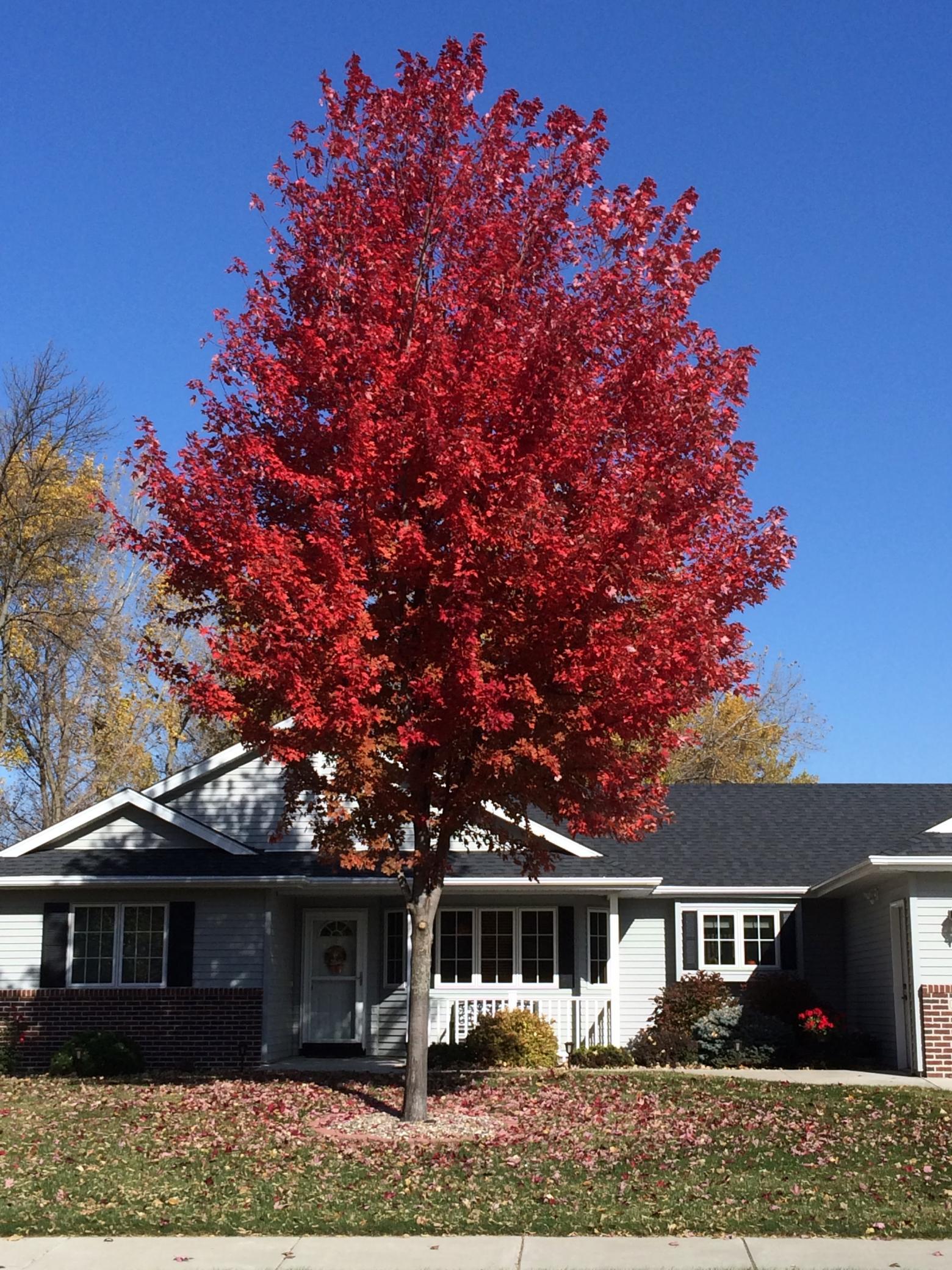 main property photo 46