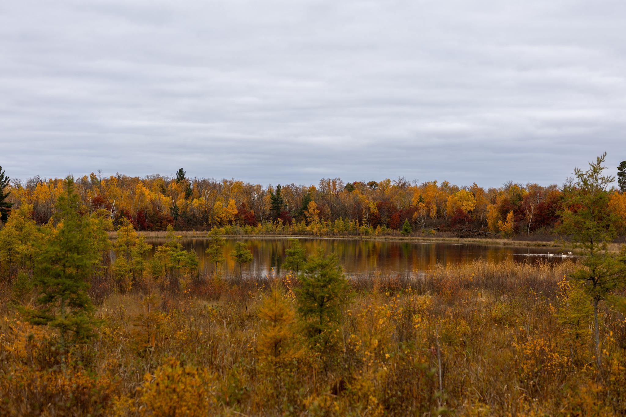 main property photo 112