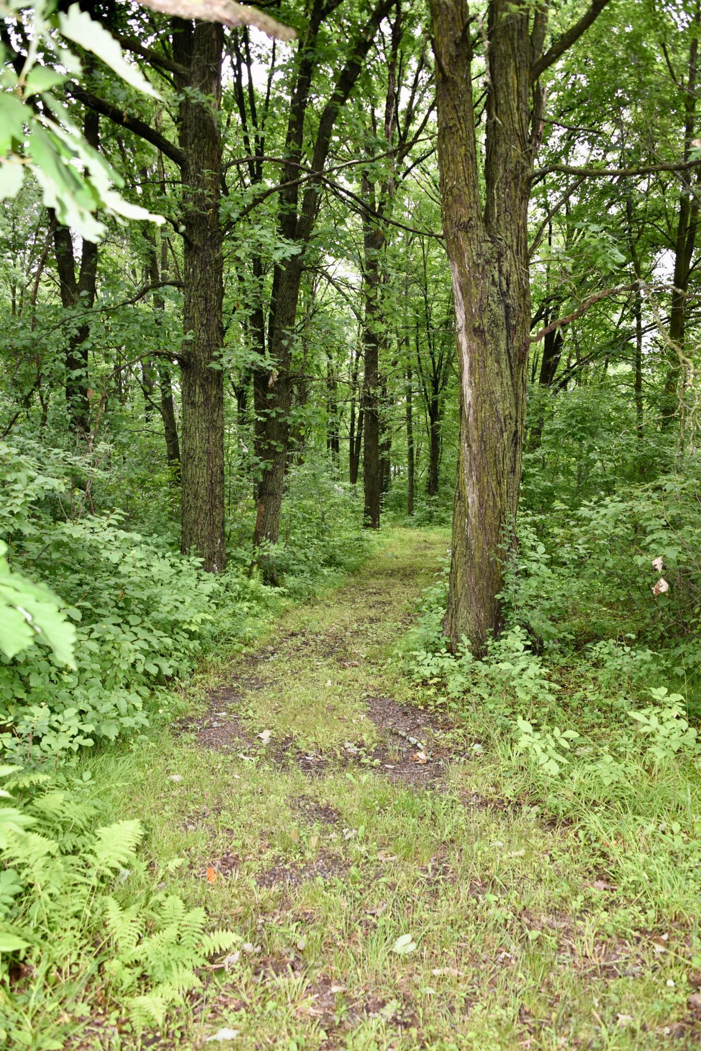 main property photo 74