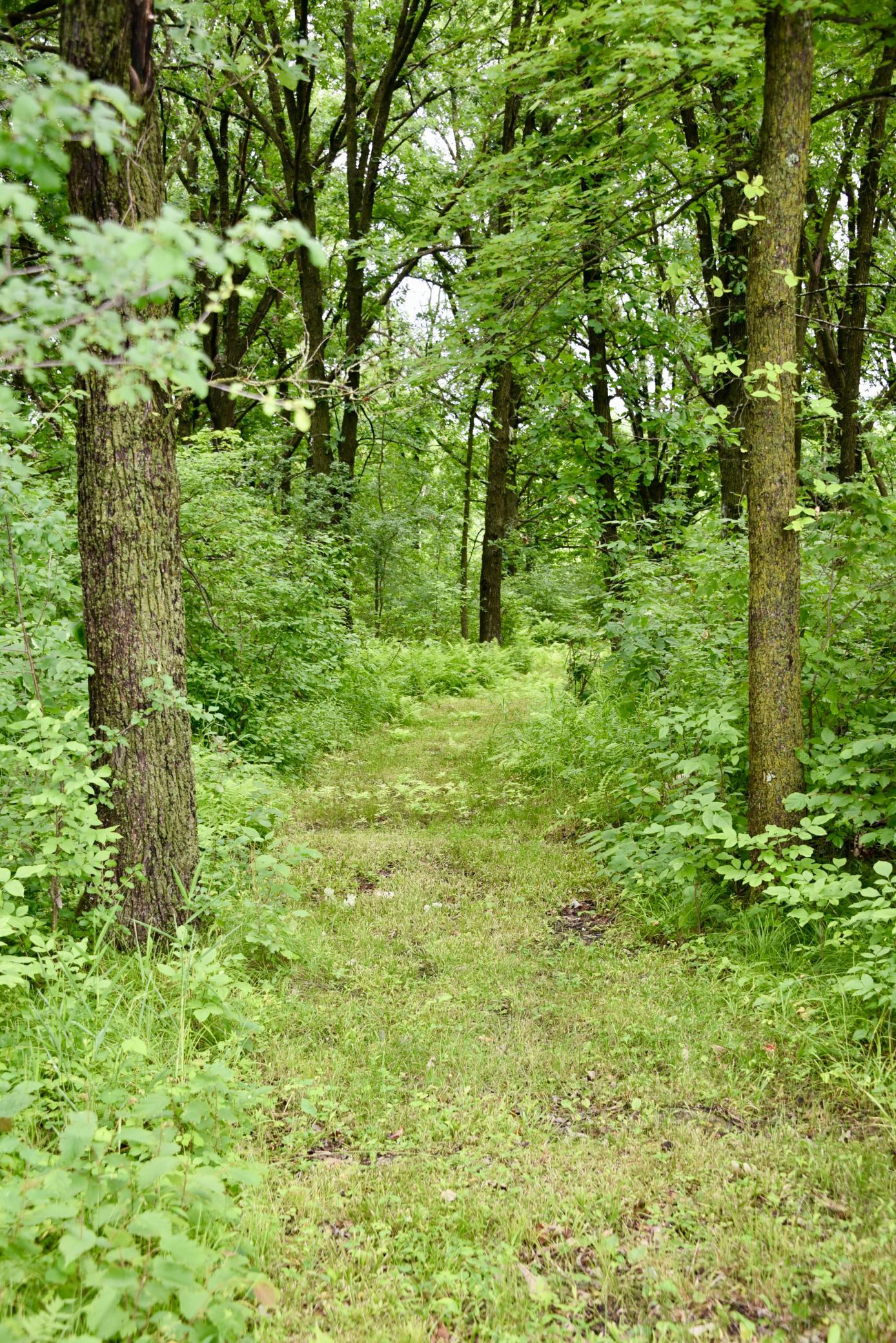 main property photo 85