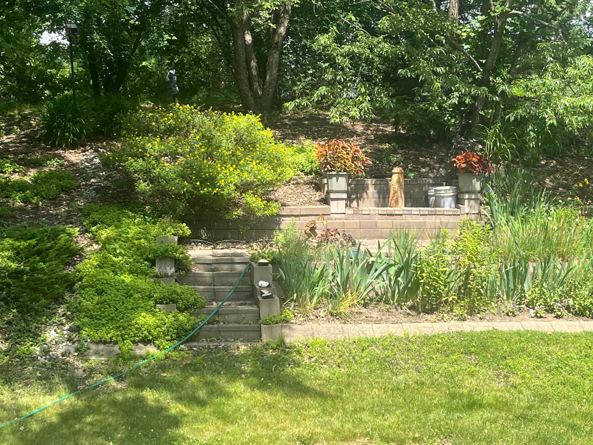 main property photo 62