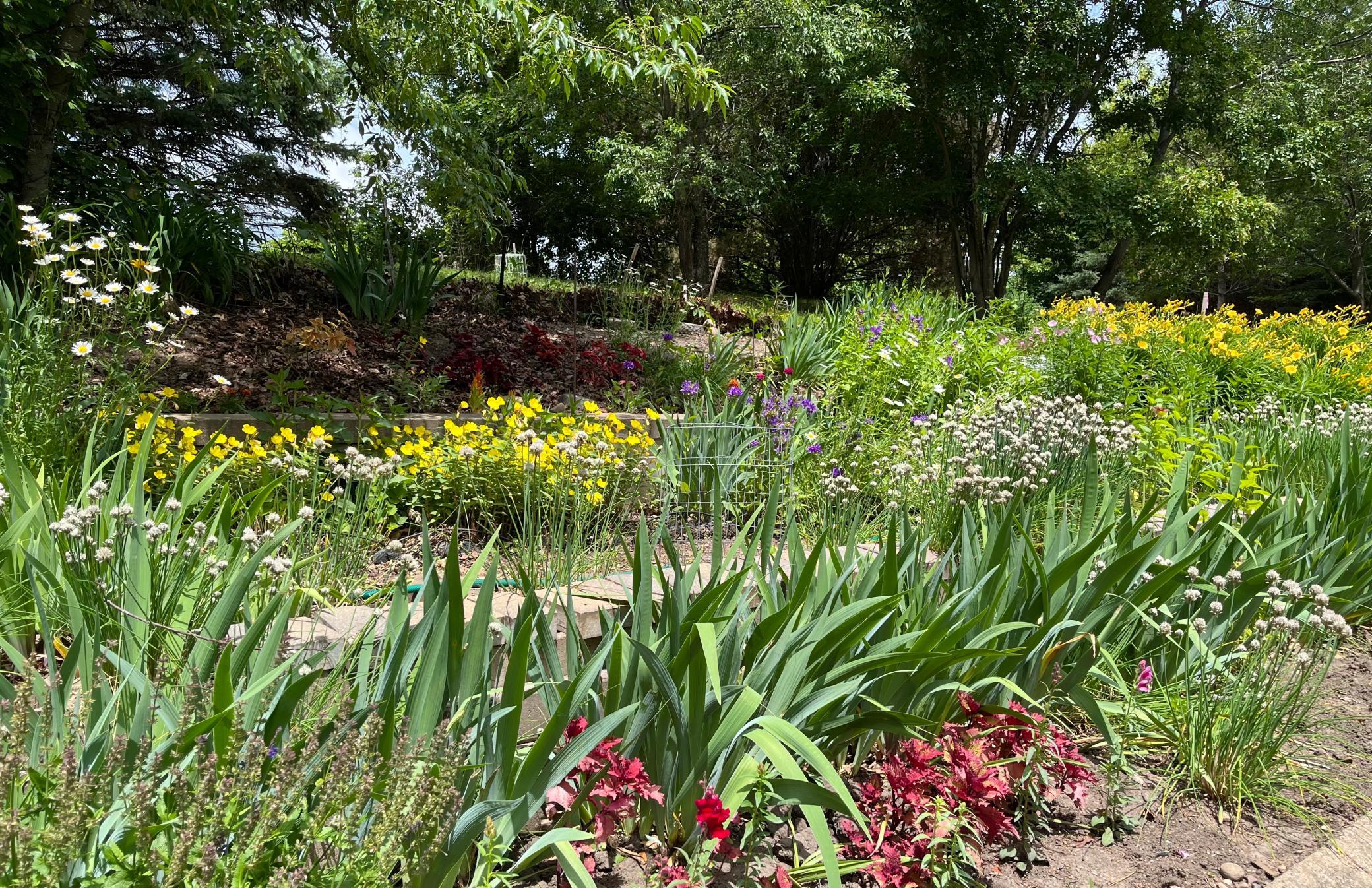 main property photo 64