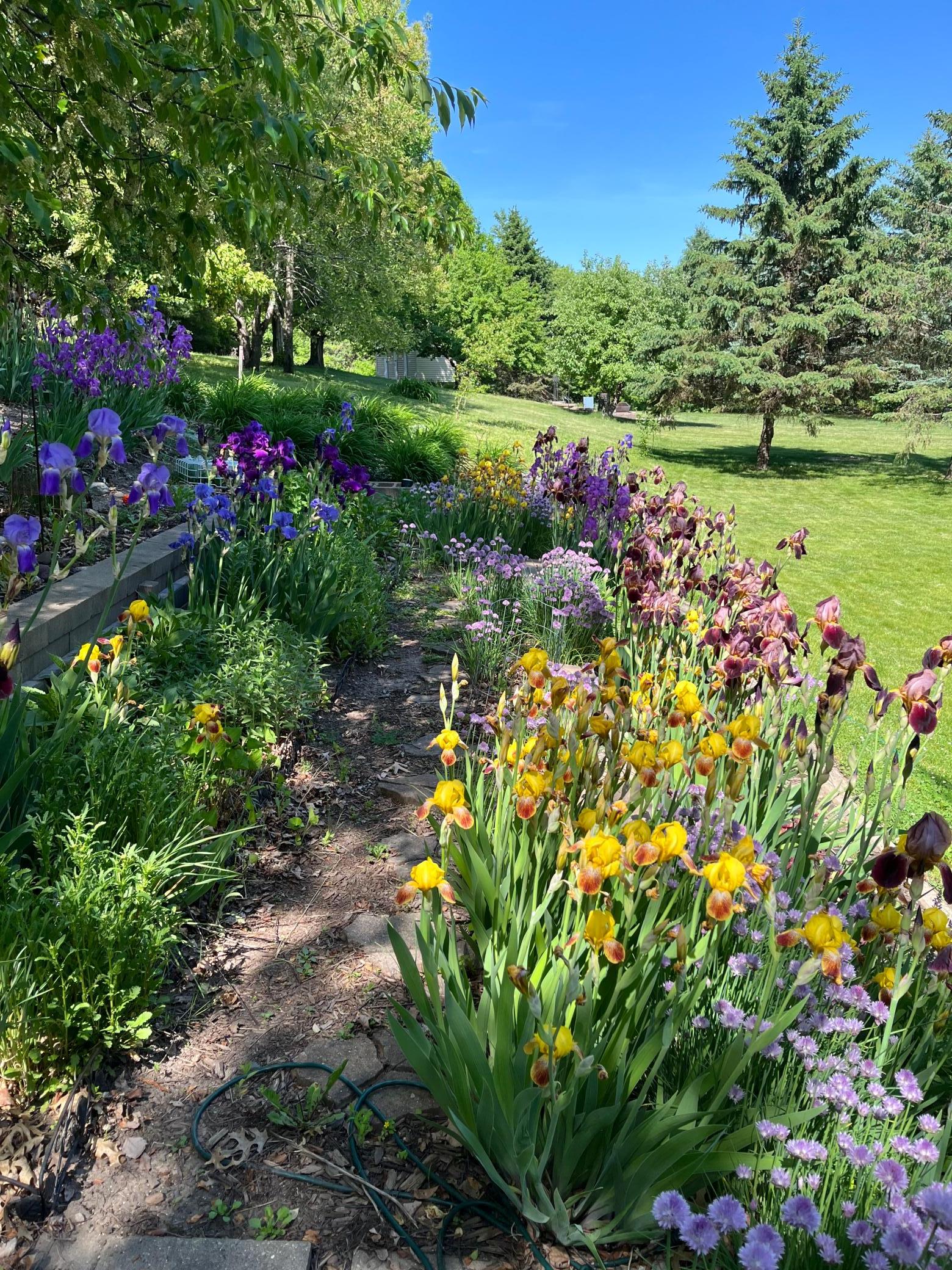 main property photo 65