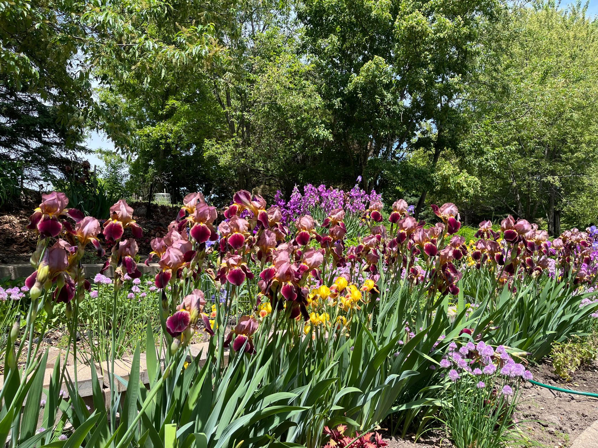 main property photo 67
