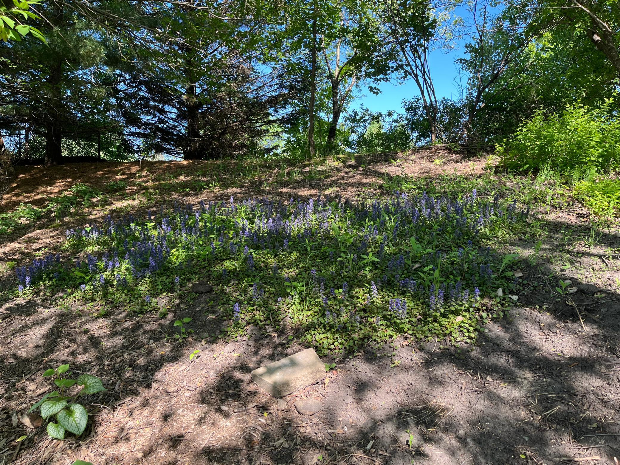 main property photo 70