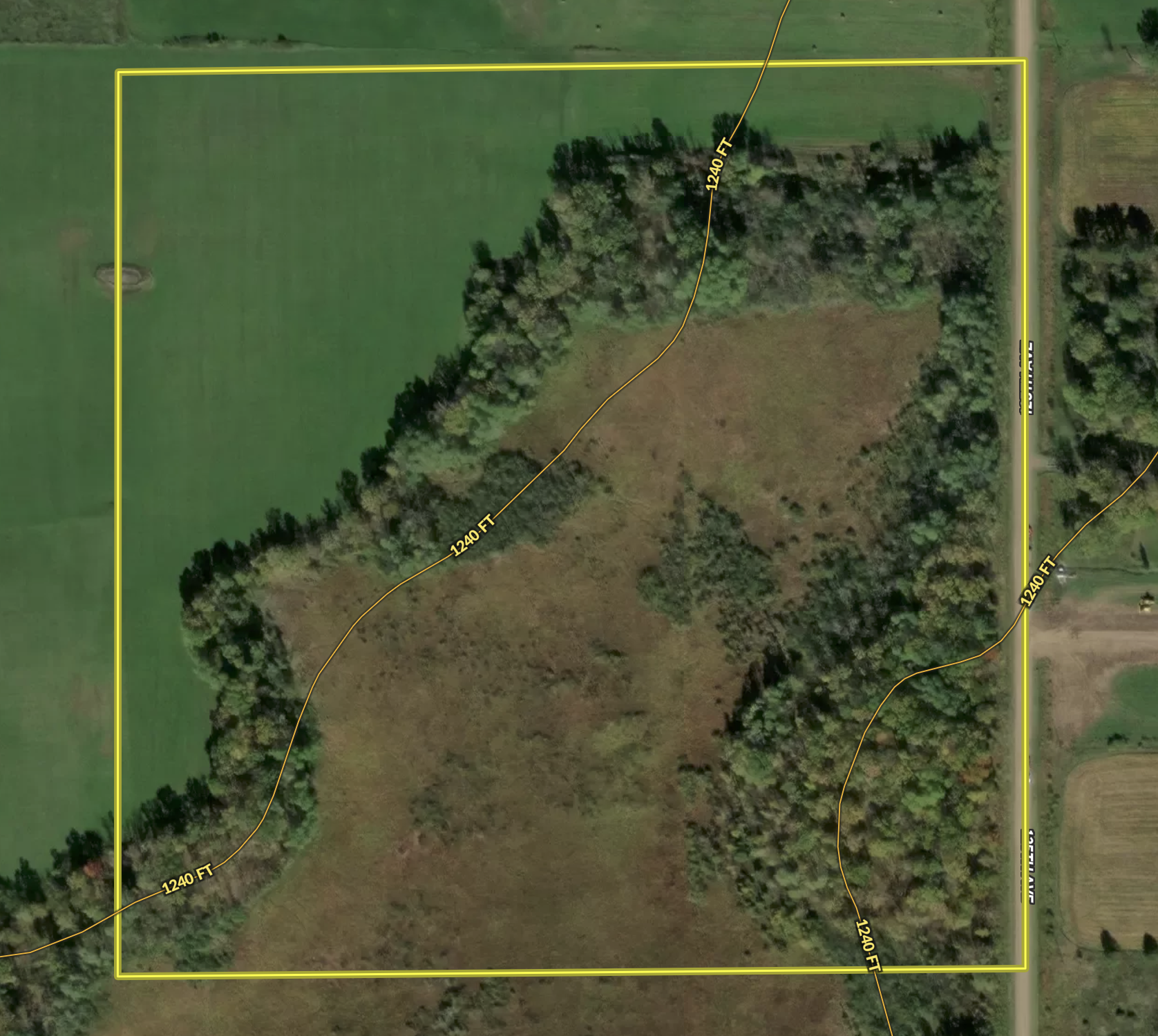 main property photo 42