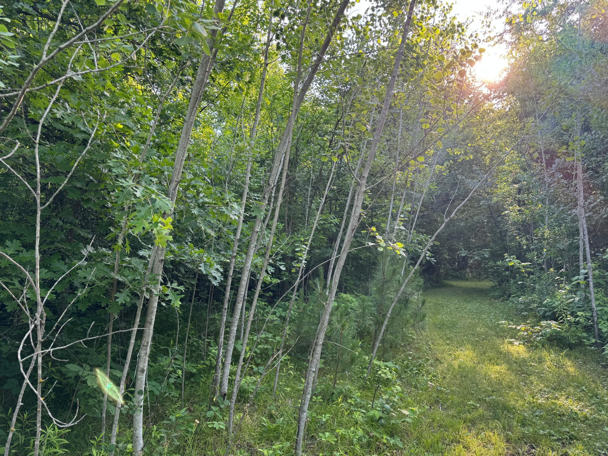 main property photo 19