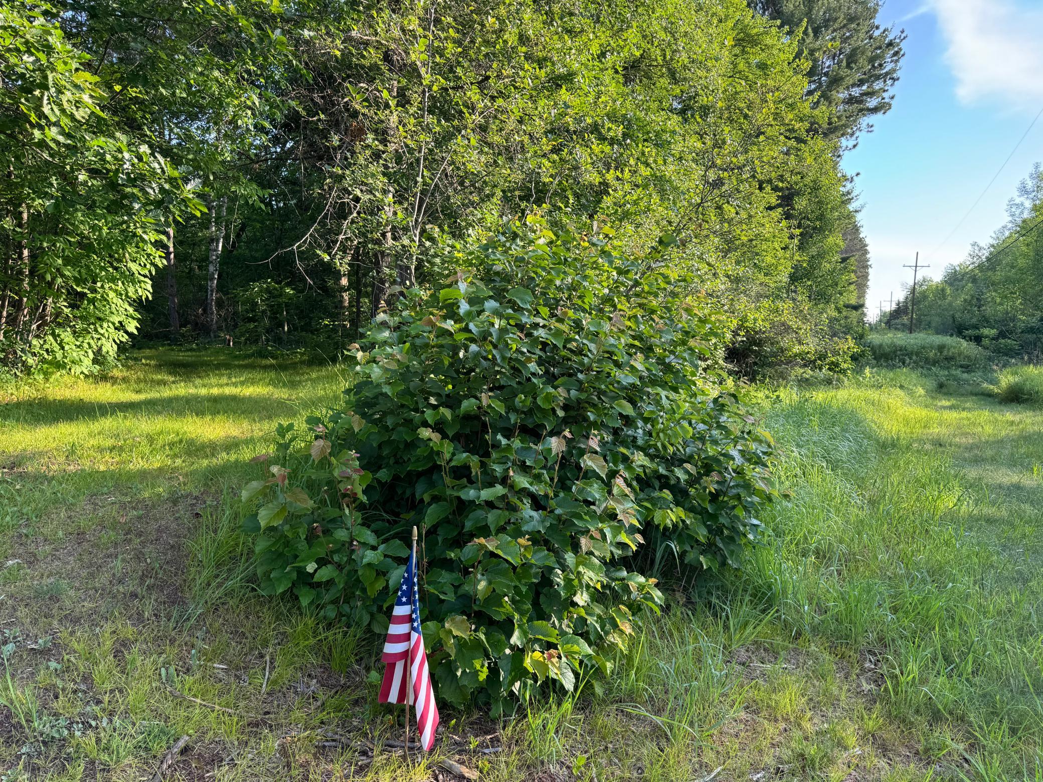 main property photo 6