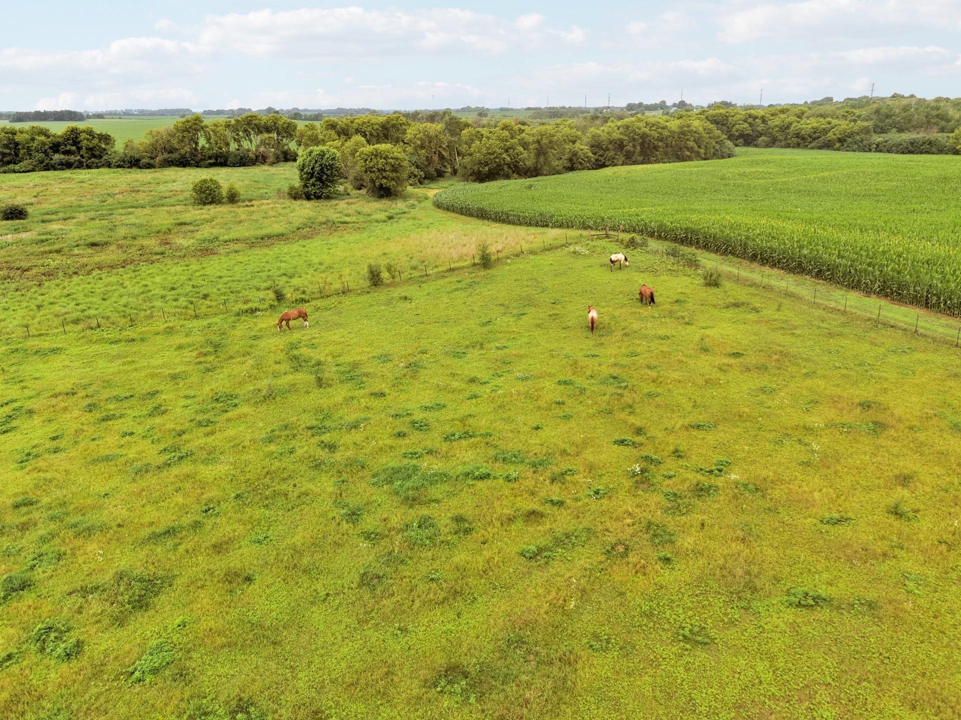 main property photo 64