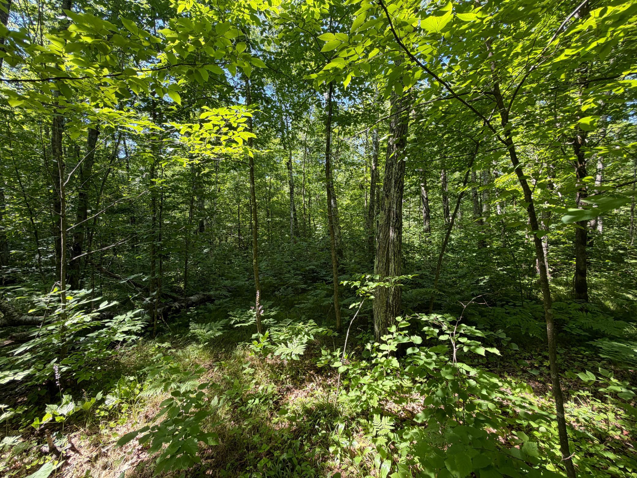 main property photo 29