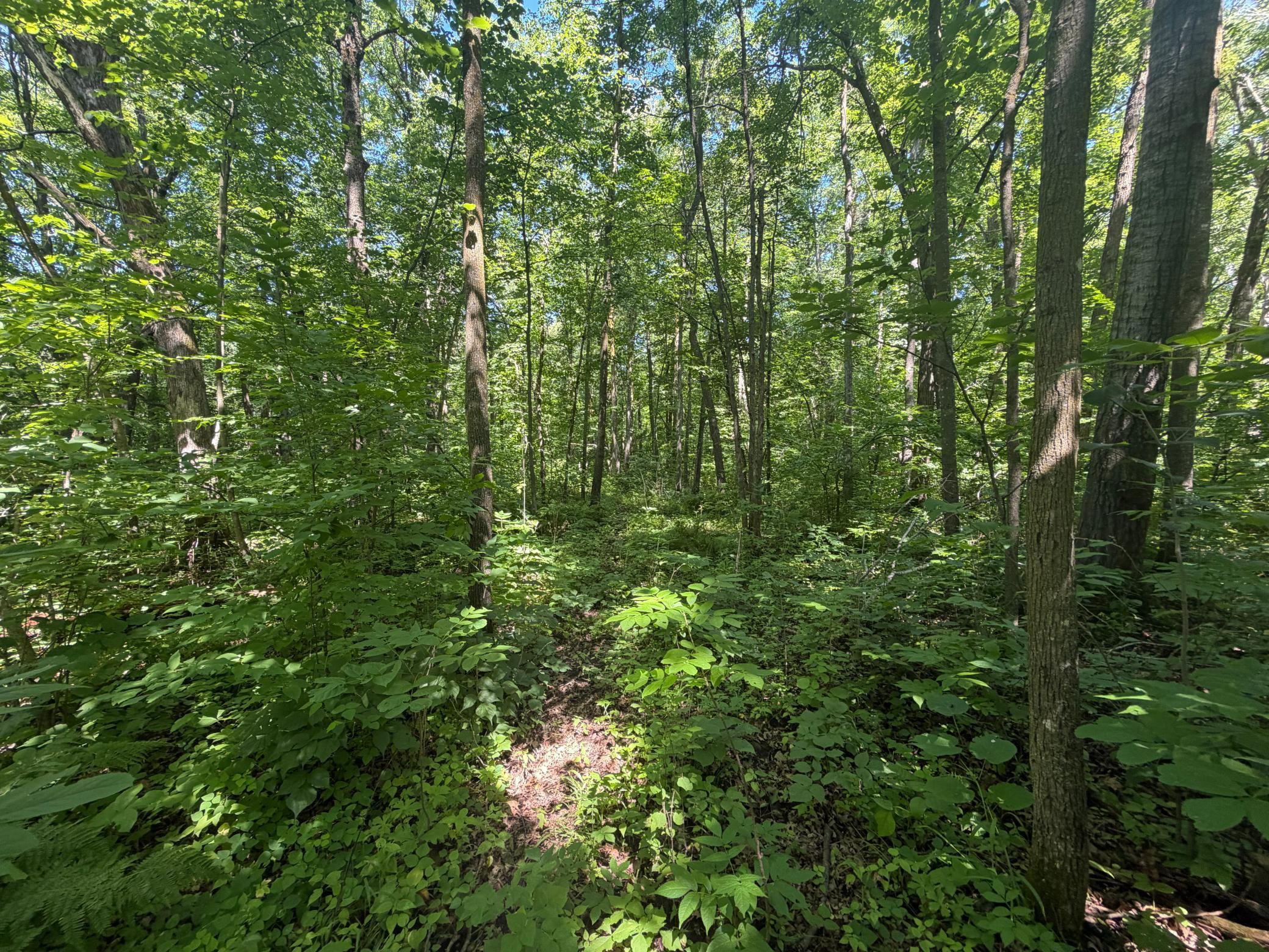 main property photo 30