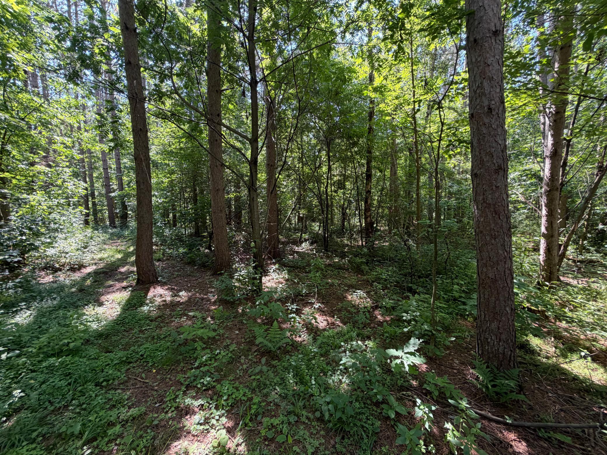 main property photo 39