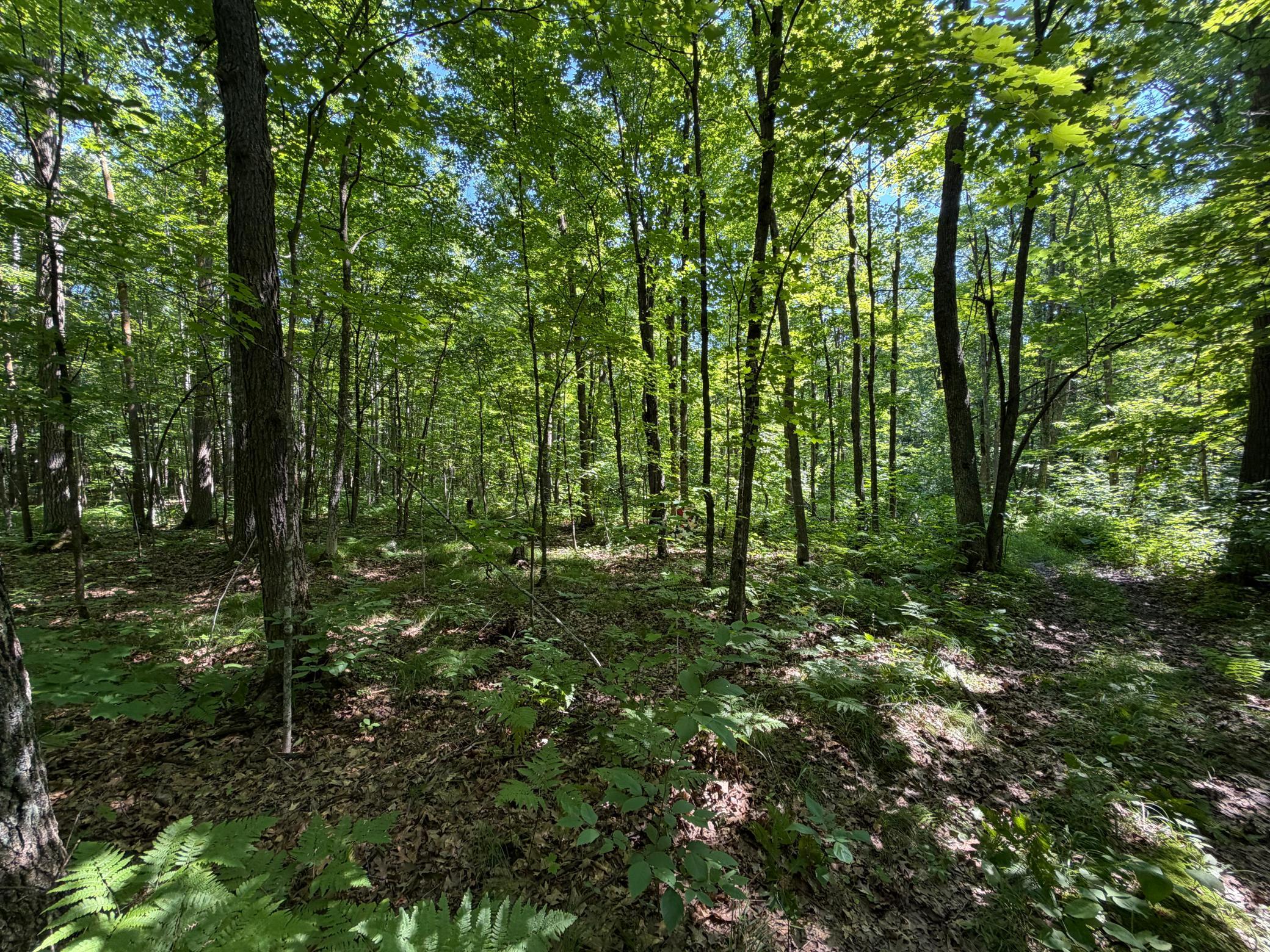 main property photo 45