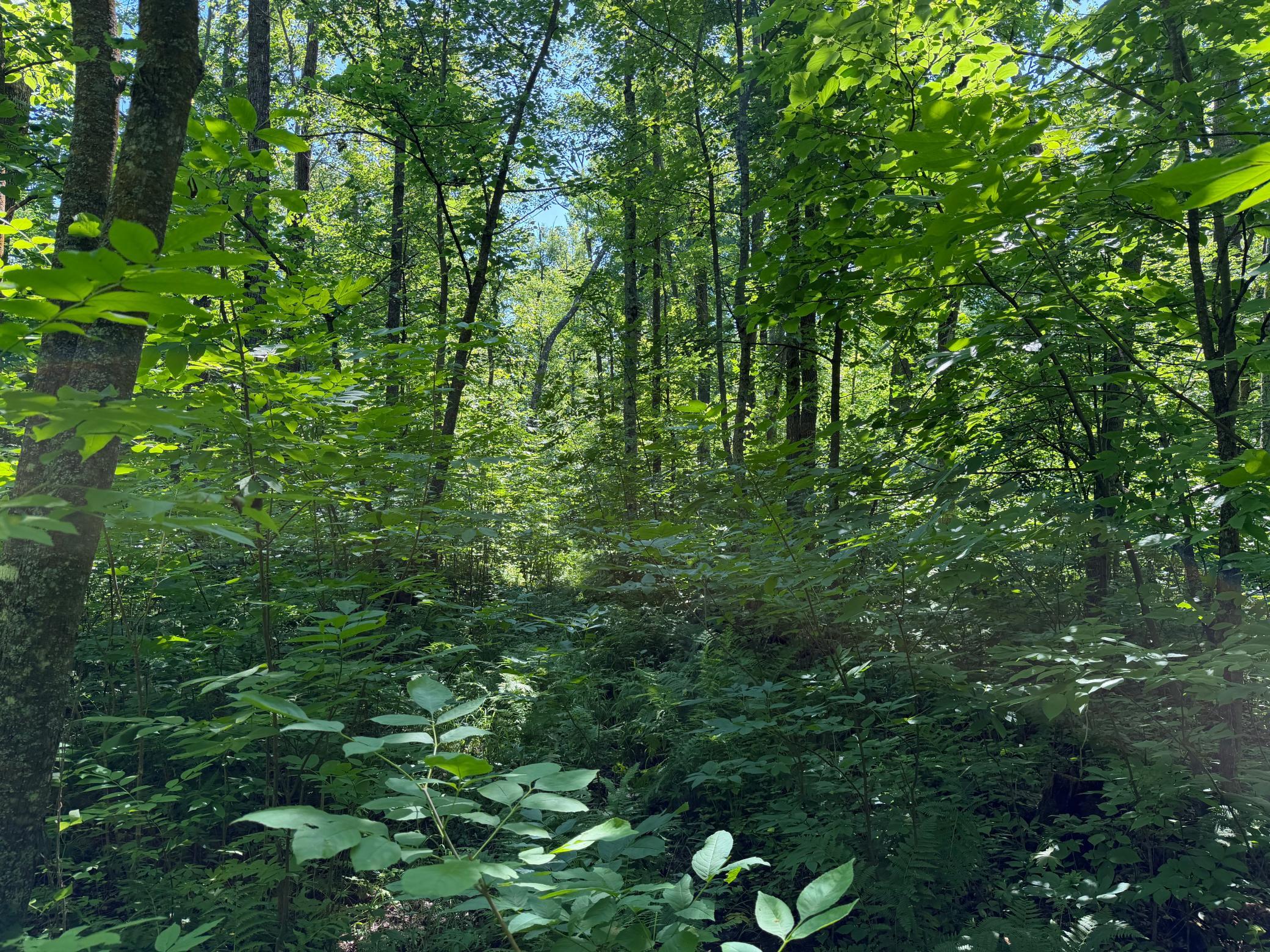 main property photo 56