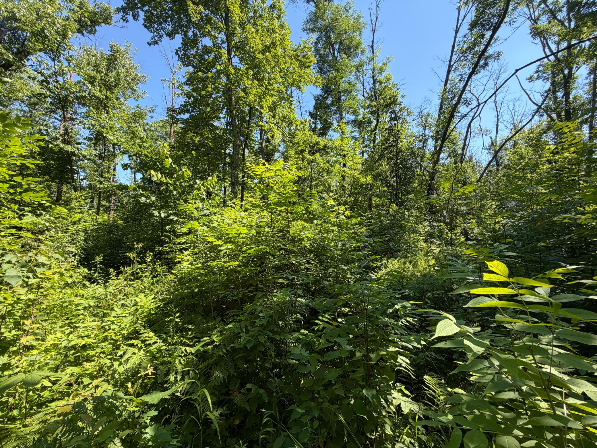main property photo 58
