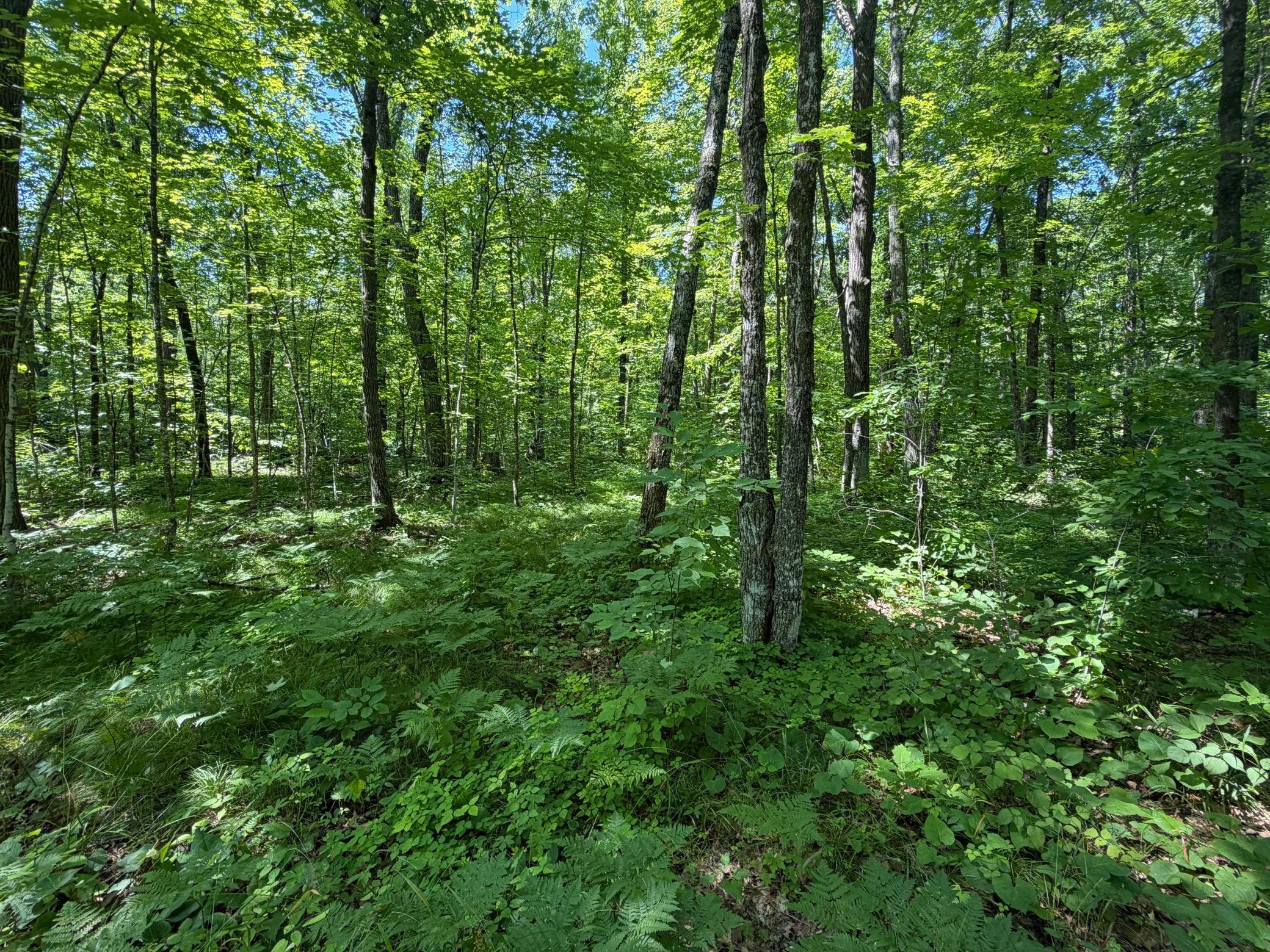 main property photo 60