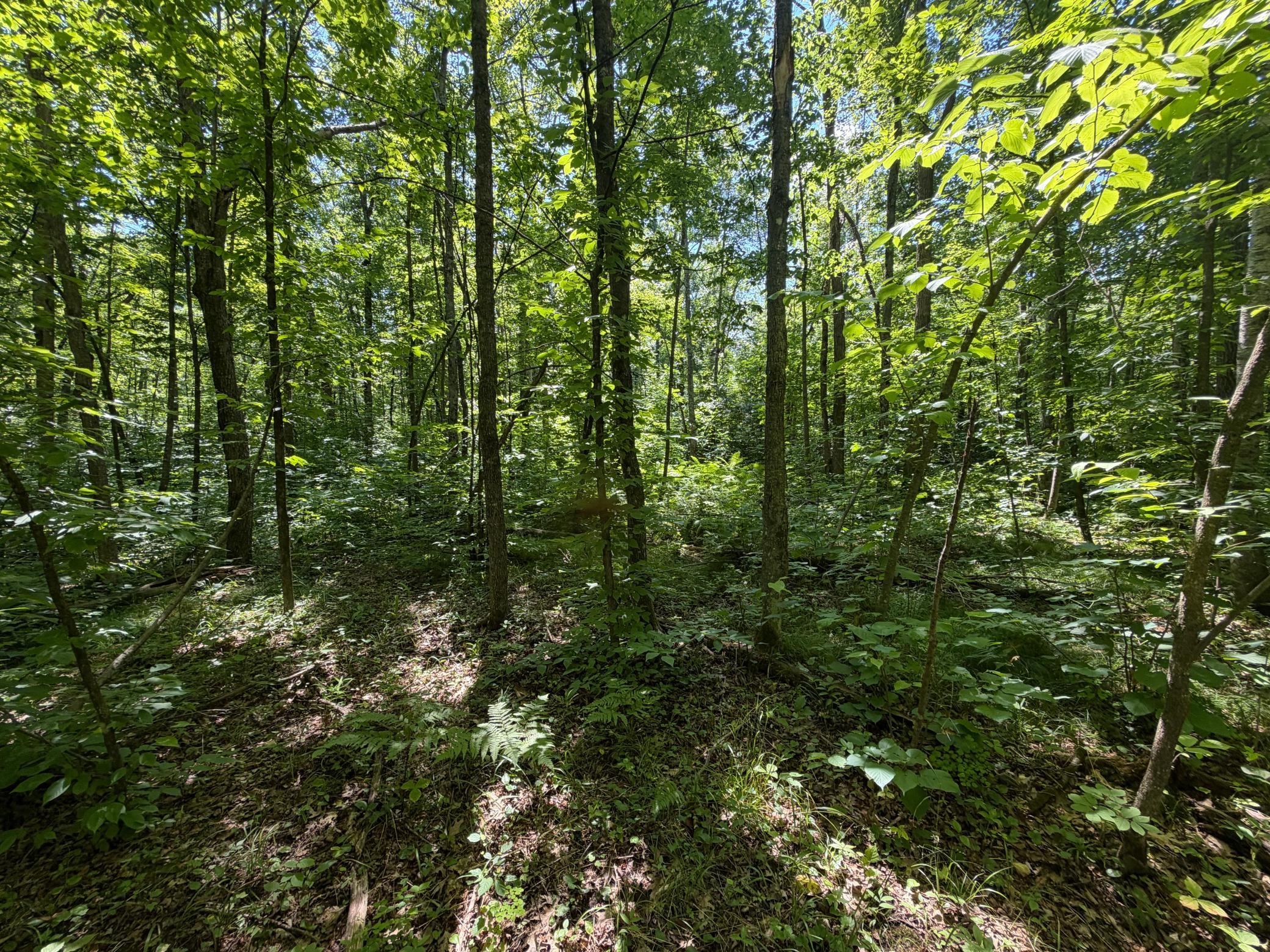 main property photo 61