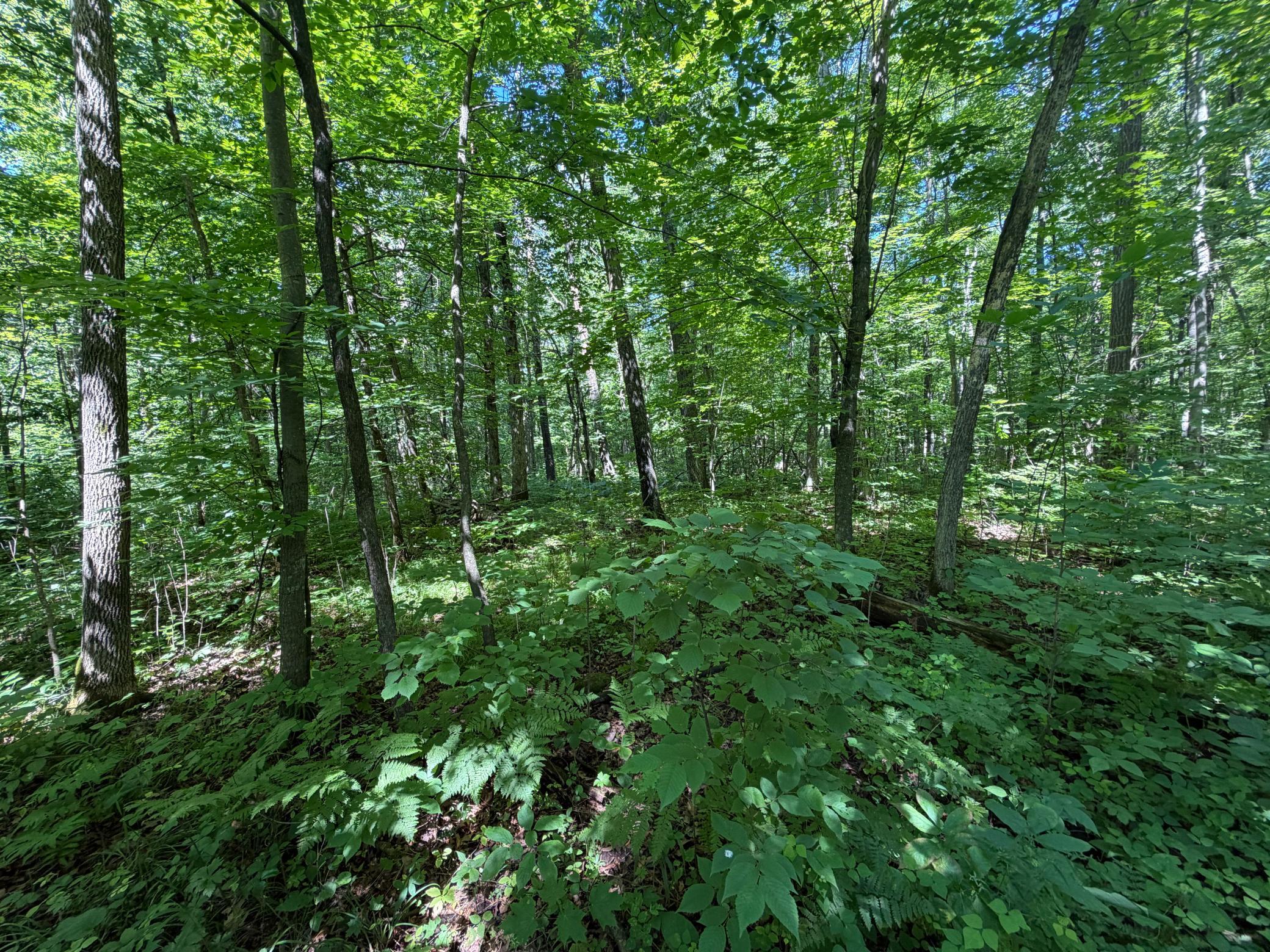 main property photo 64