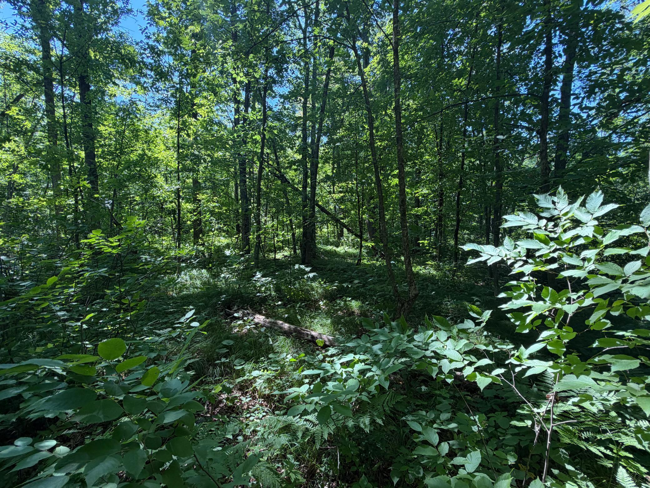 main property photo 66