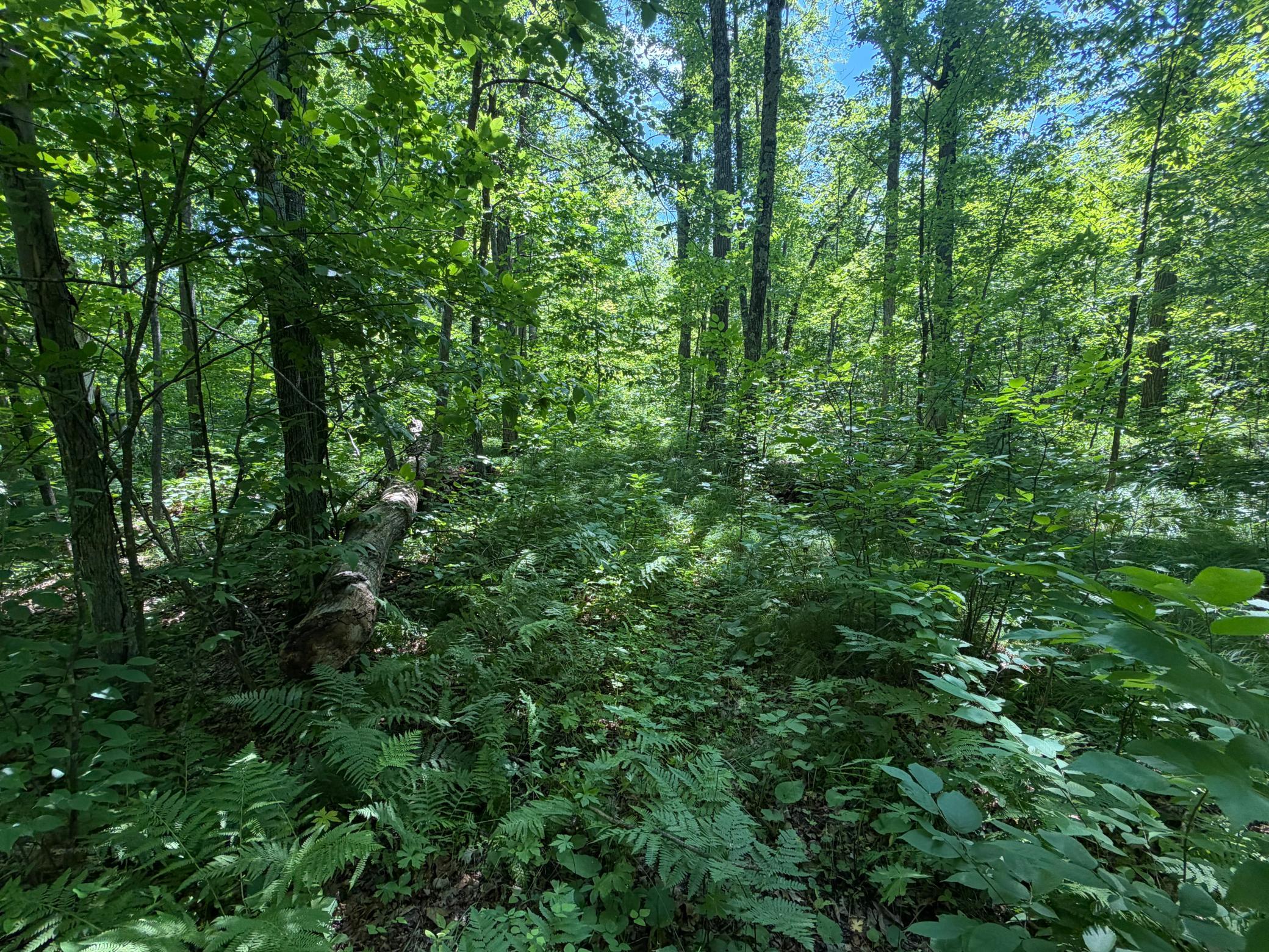 main property photo 68