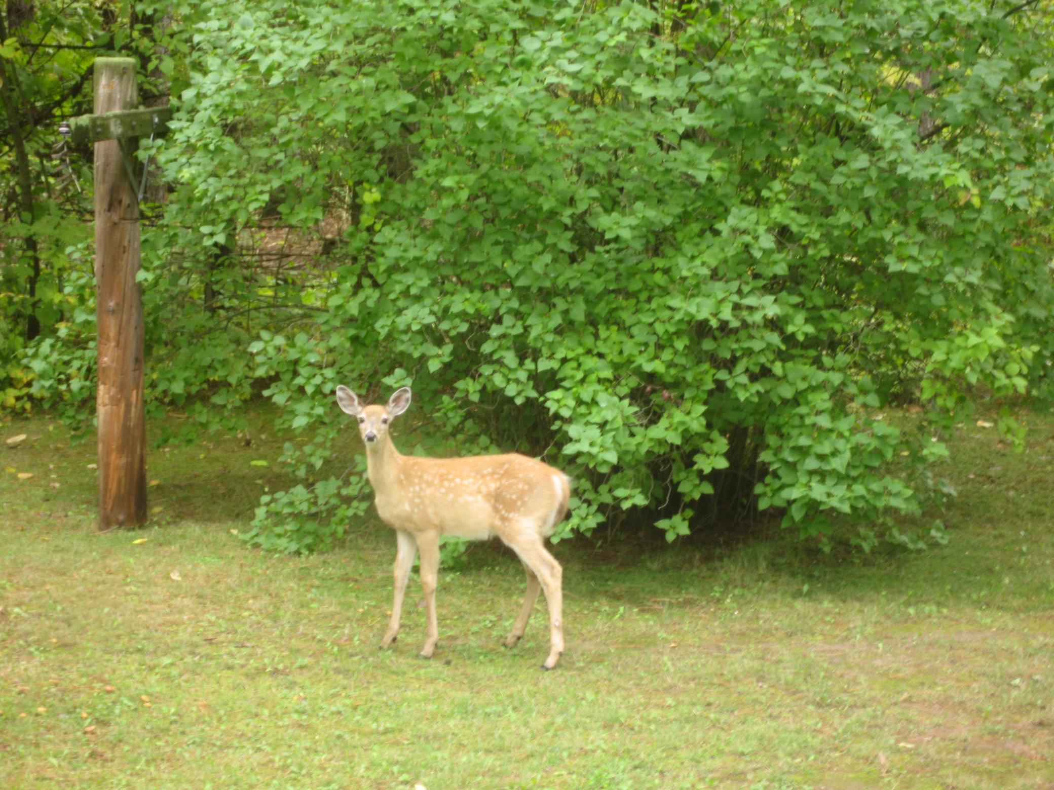 main property photo 71