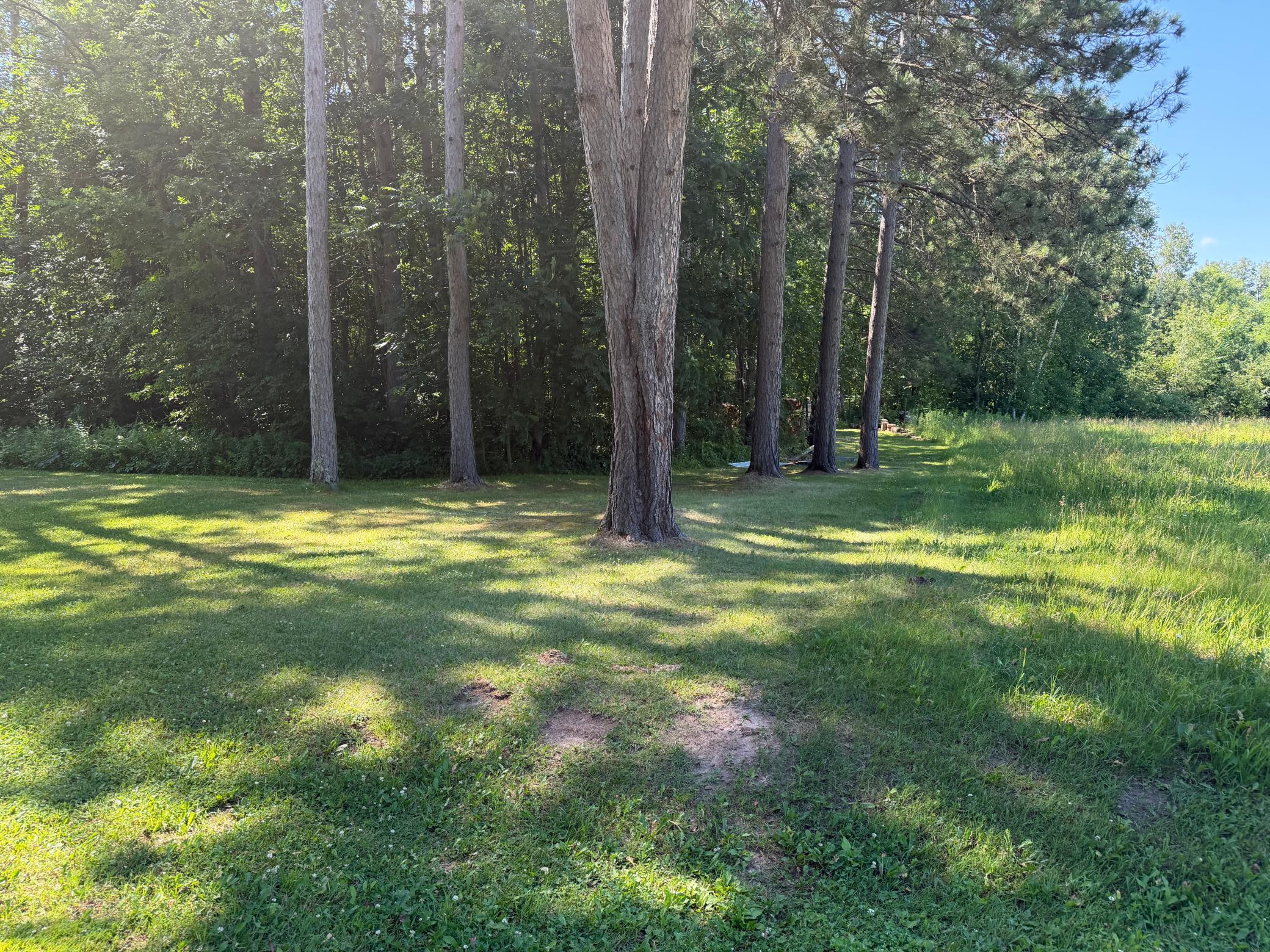 main property photo 79