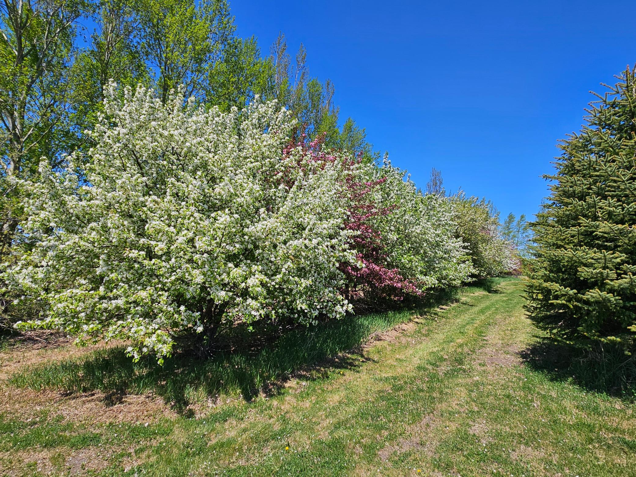 main property photo 102