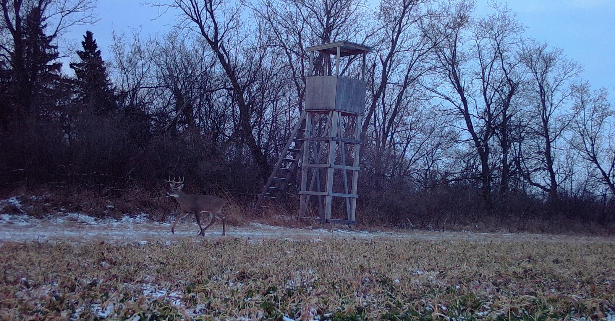 main property photo 108