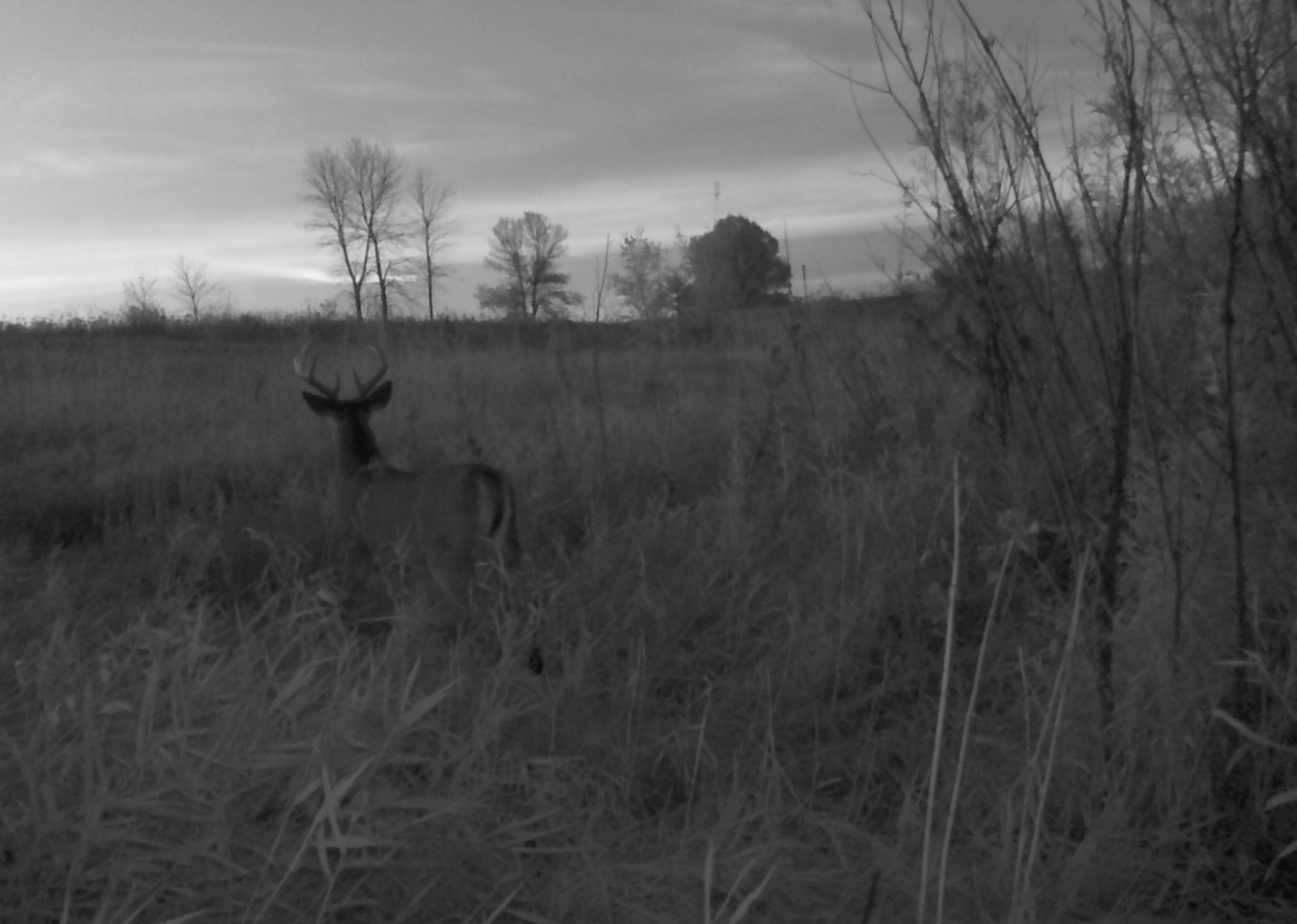 main property photo 113