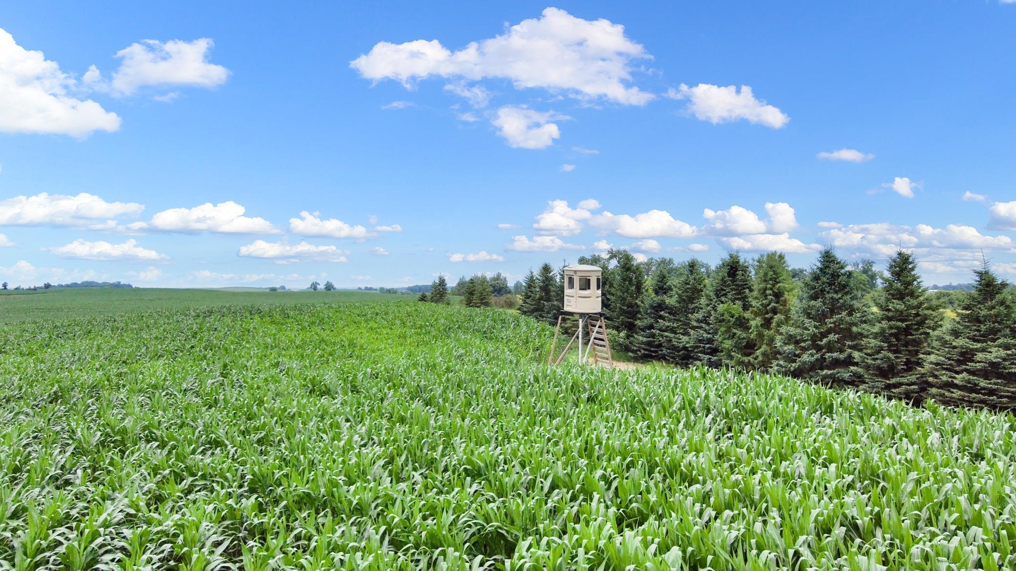 main property photo 87