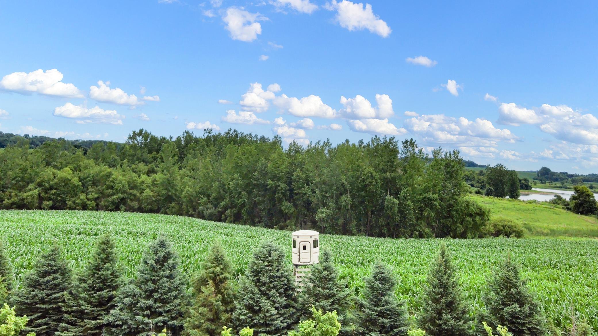 main property photo 88