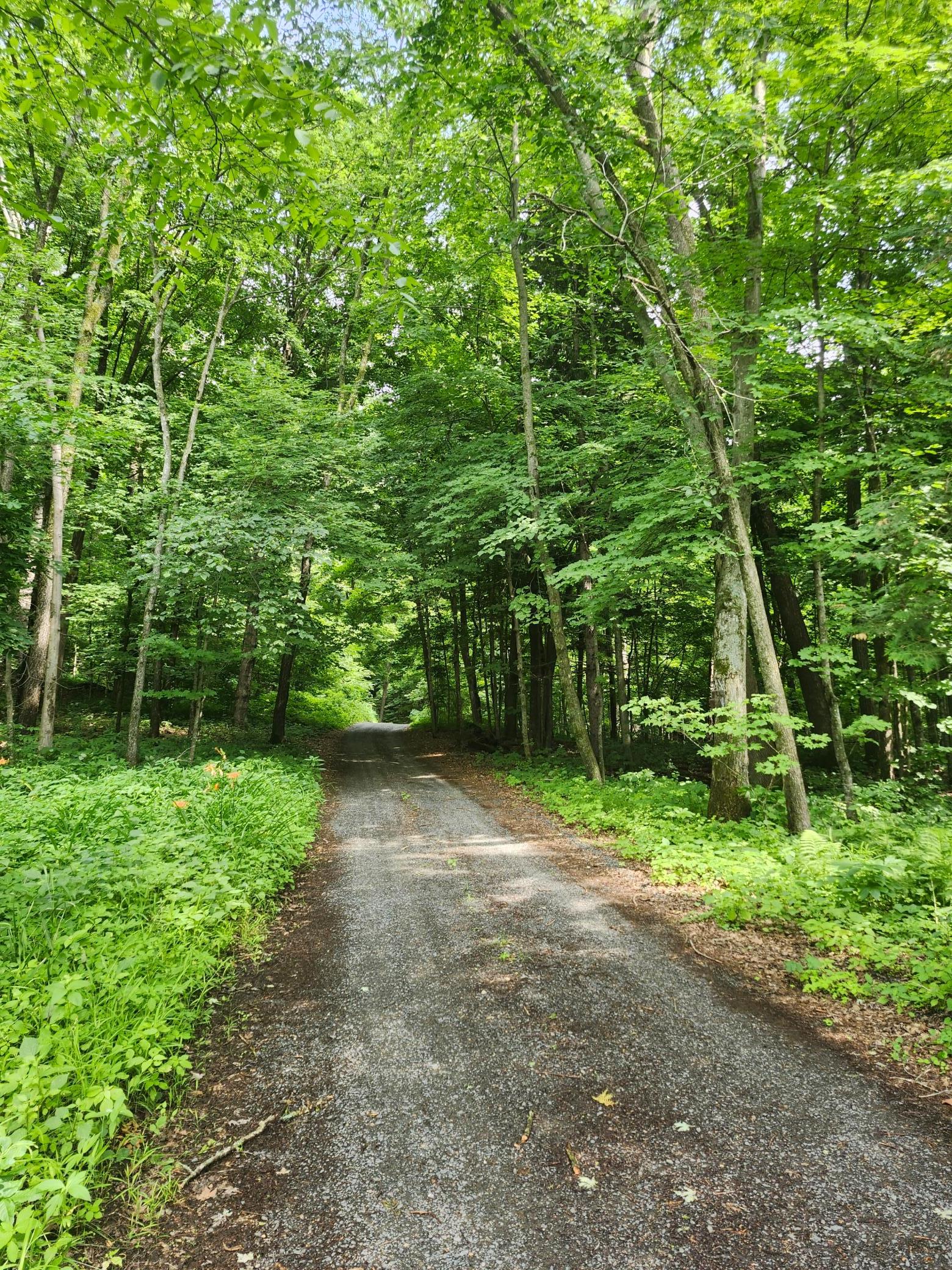 main property photo 62